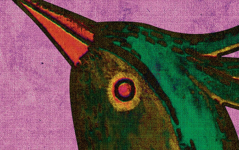             Bird Of Paradis 2 - digitale print behang paradijsvogel in natuurlijke linnenstructuur - geel, groen | parelmoer glad vlies
        