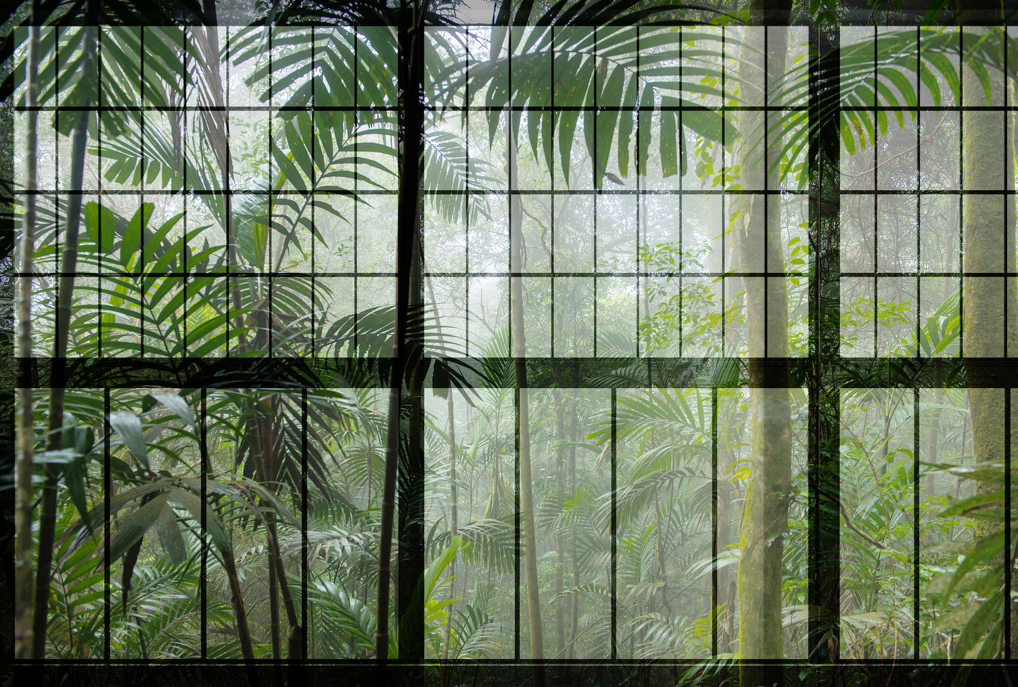             Rainforest 1 - Loft raamschildering met uitzicht op de jungle - Groen, Zwart | Pearl glad fleece
        