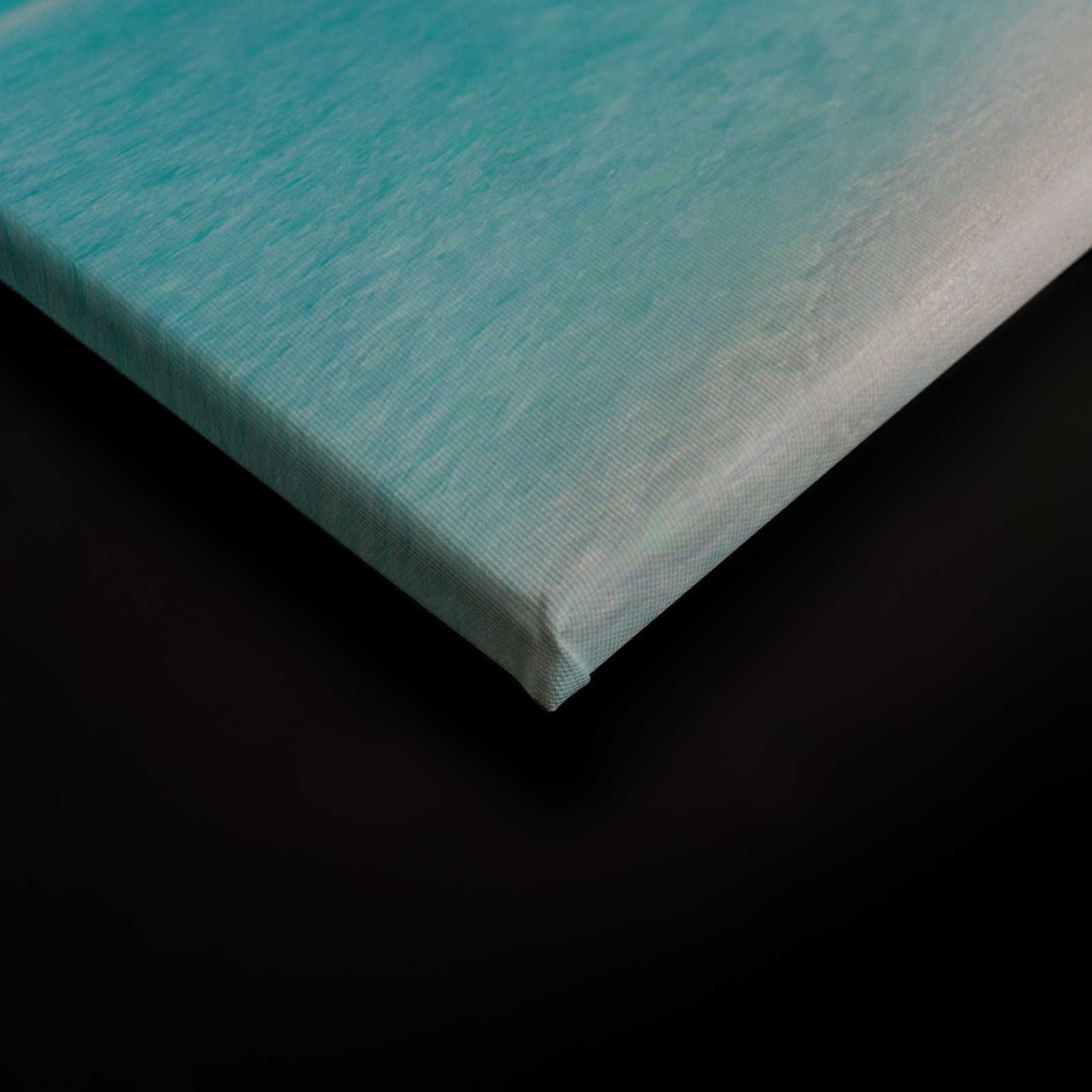             Quadro su tela Spiaggia idilliaca con acqua cristallina e palme - 0,90 m x 0,60 m
        