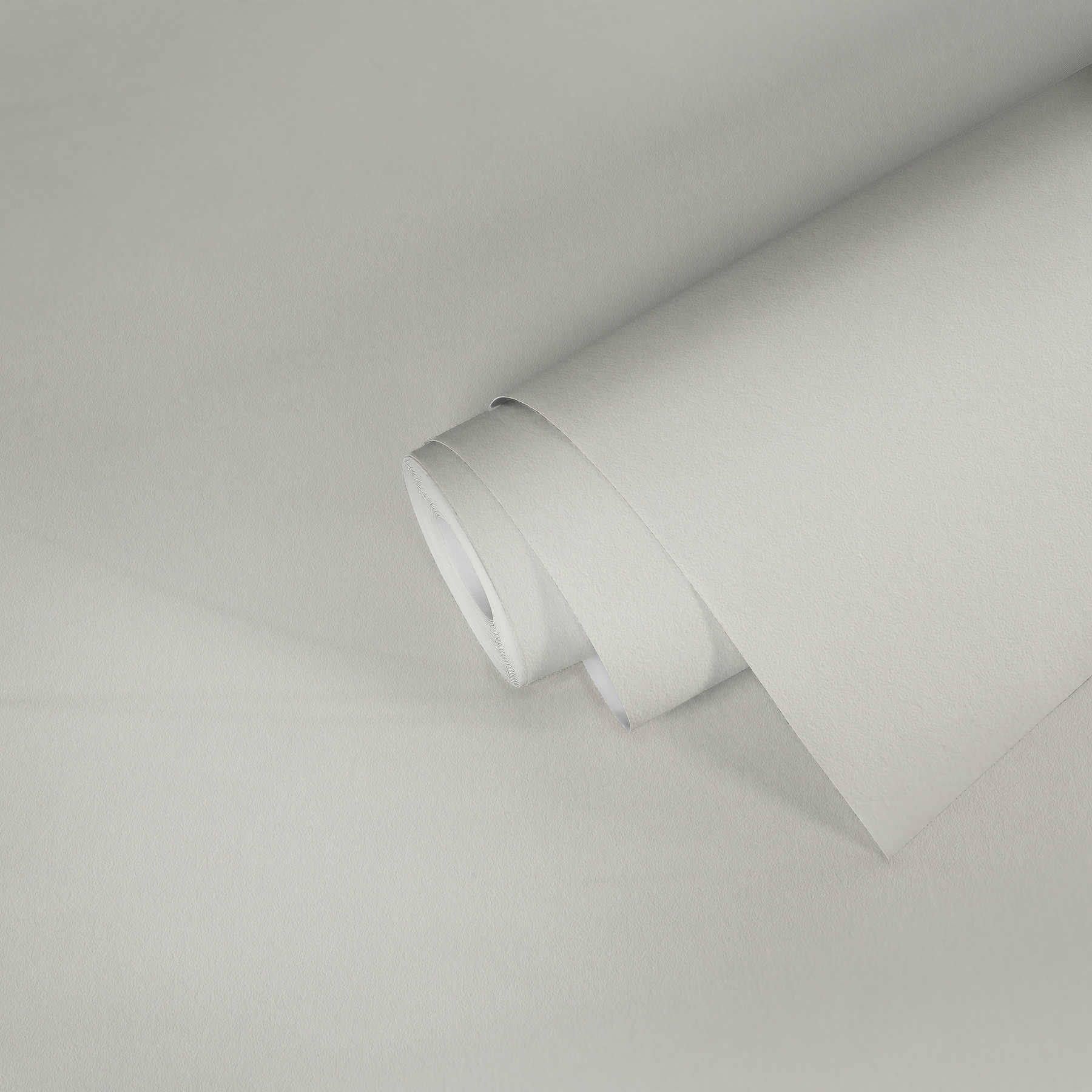             Glass fleece pre-painted - glass fibre wallpaper with fleece structure - white pigmented
        