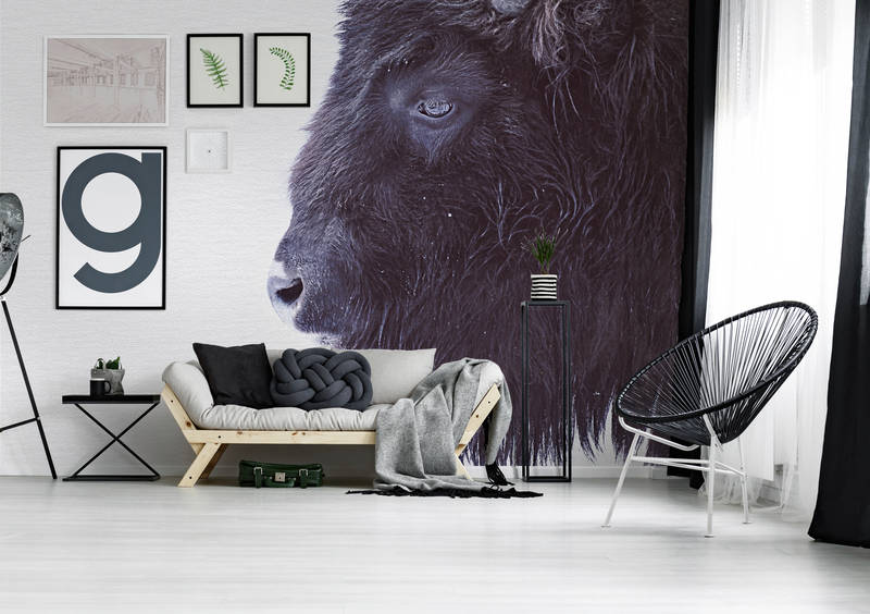            Dierenbehang met zwarte buffels in XXL design
        