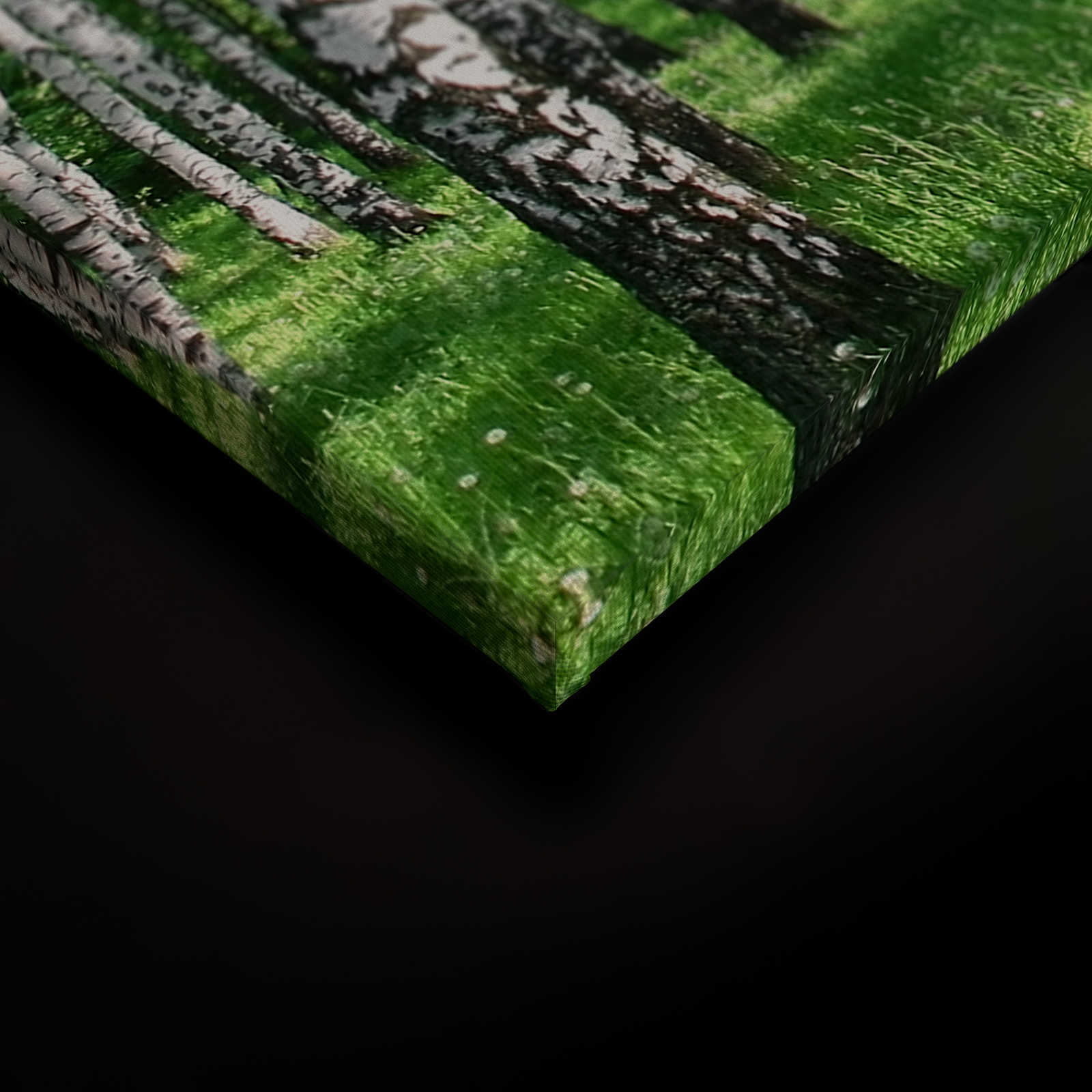             Paysage sur toile Forêt de bouleaux avec prairie - 1,20 m x 0,80 m
        