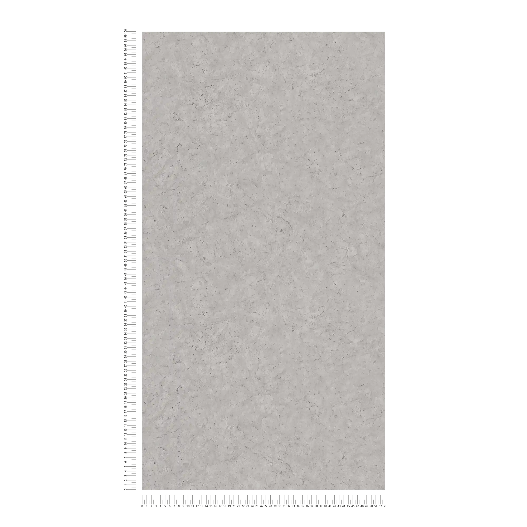             Papier peint imitation béton avec motif discret - gris
        