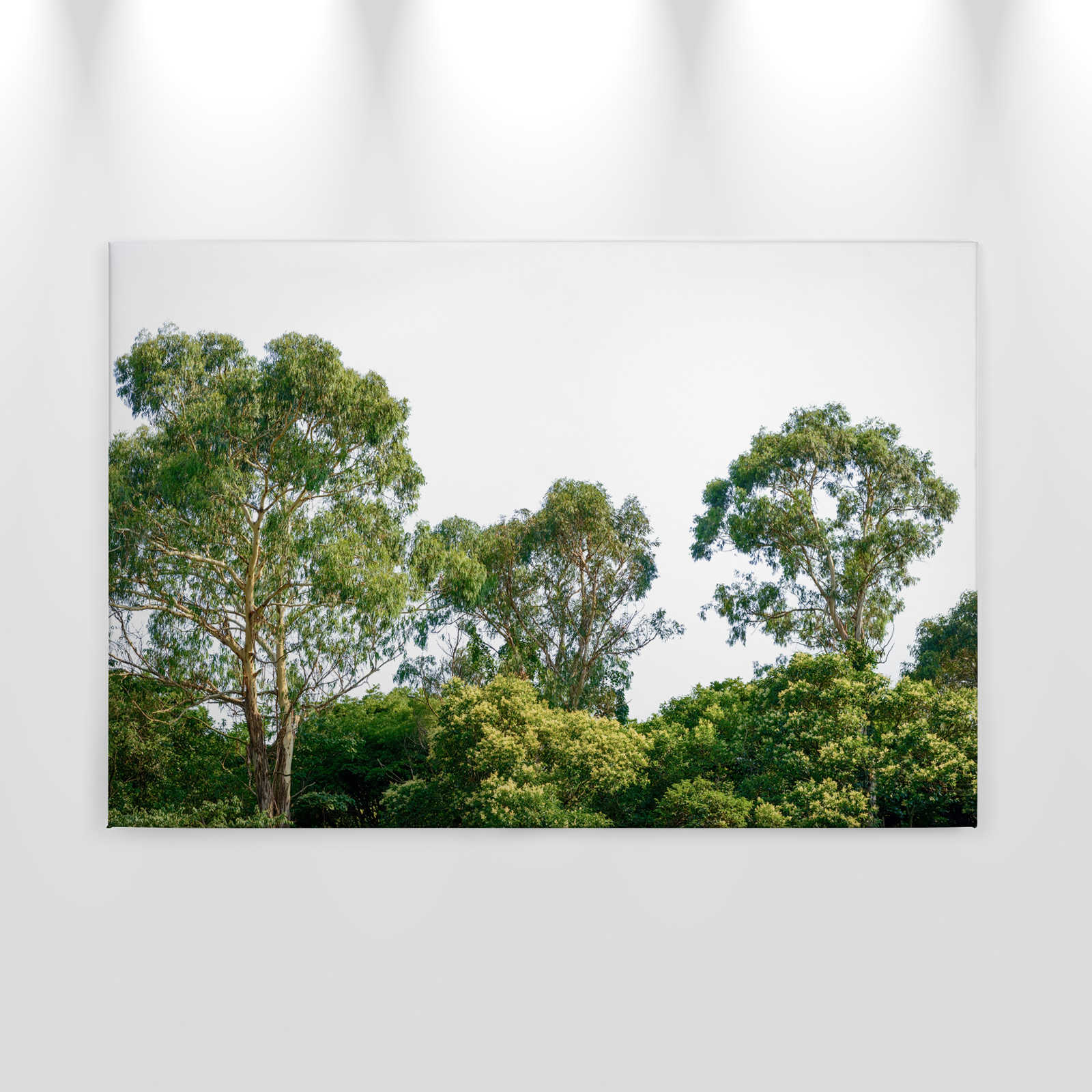             Toile avec cimes d'arbres, motif de forêt - 0,90 m x 0,60 m
        
