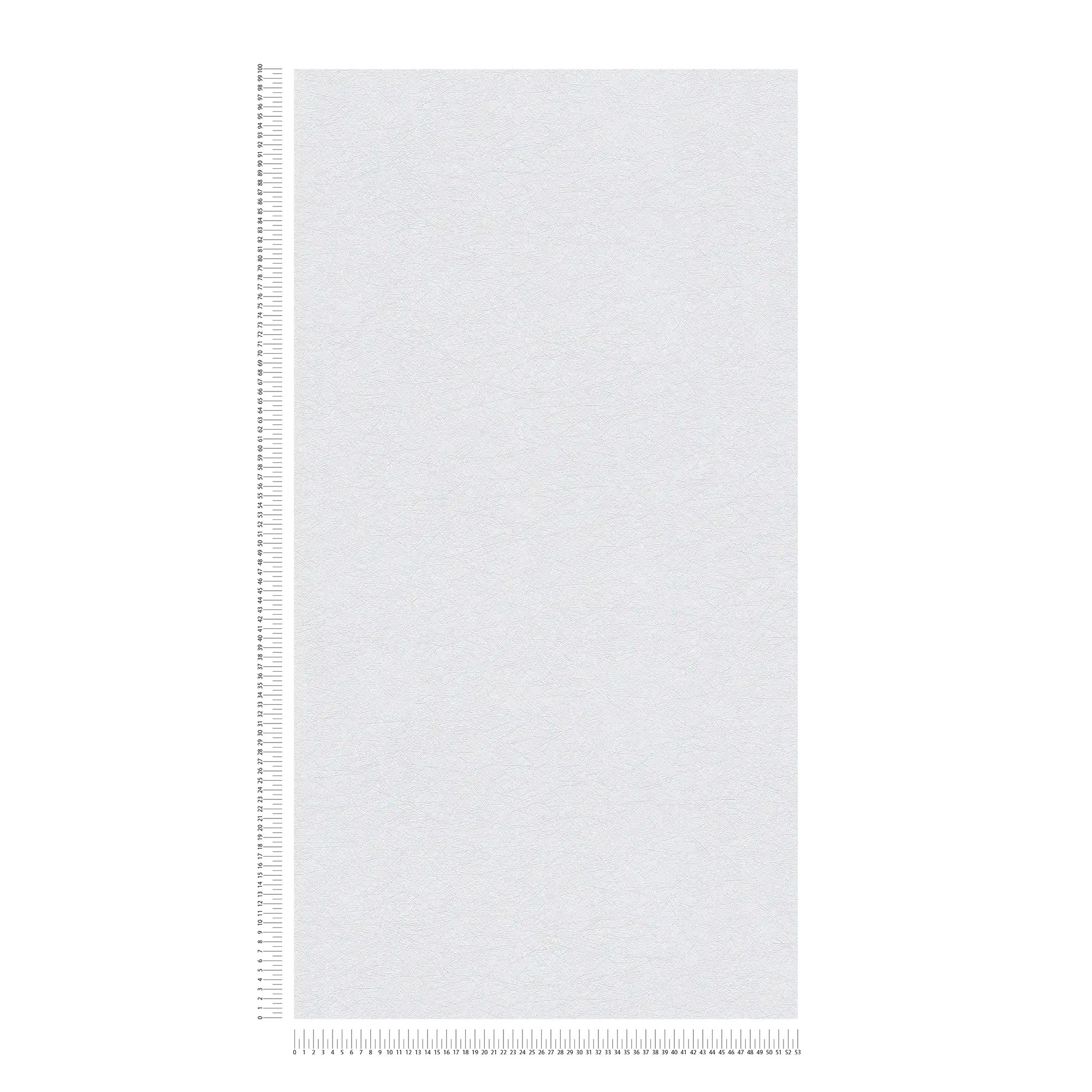             Carta da parati testurizzata effetto gesso monocolore scintillante - grigio, argento
        