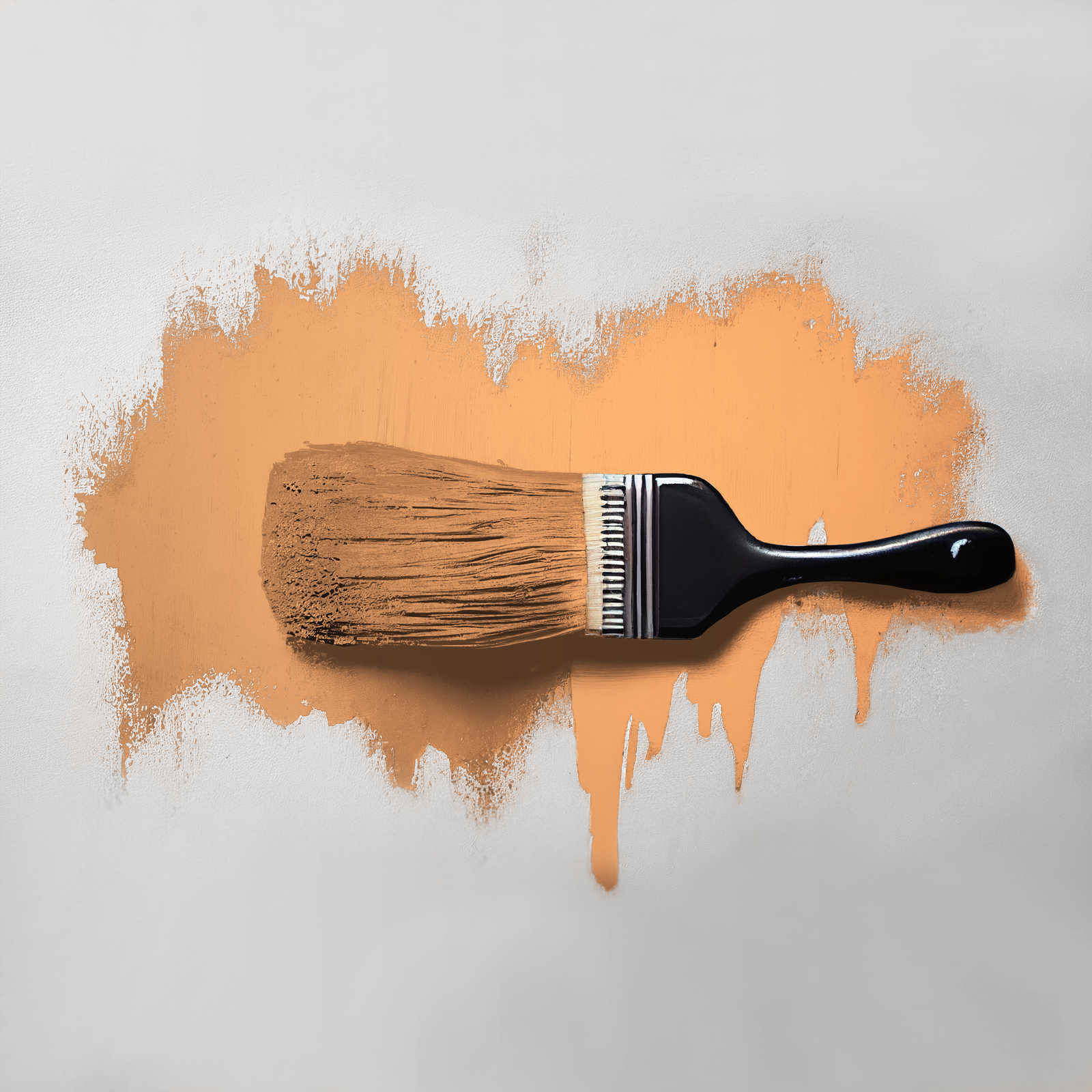            Pittura murale TCK5010 »Pure Papaya« in arancione brillante – 2,5 litri
        