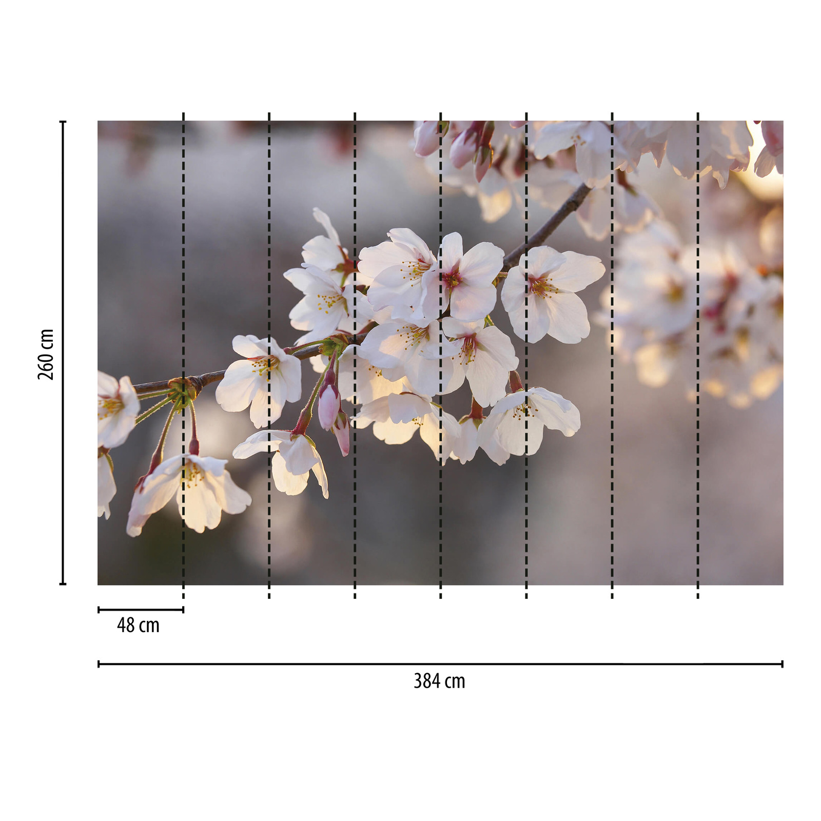            Cherry blossoms mural - white, pink, brown
        