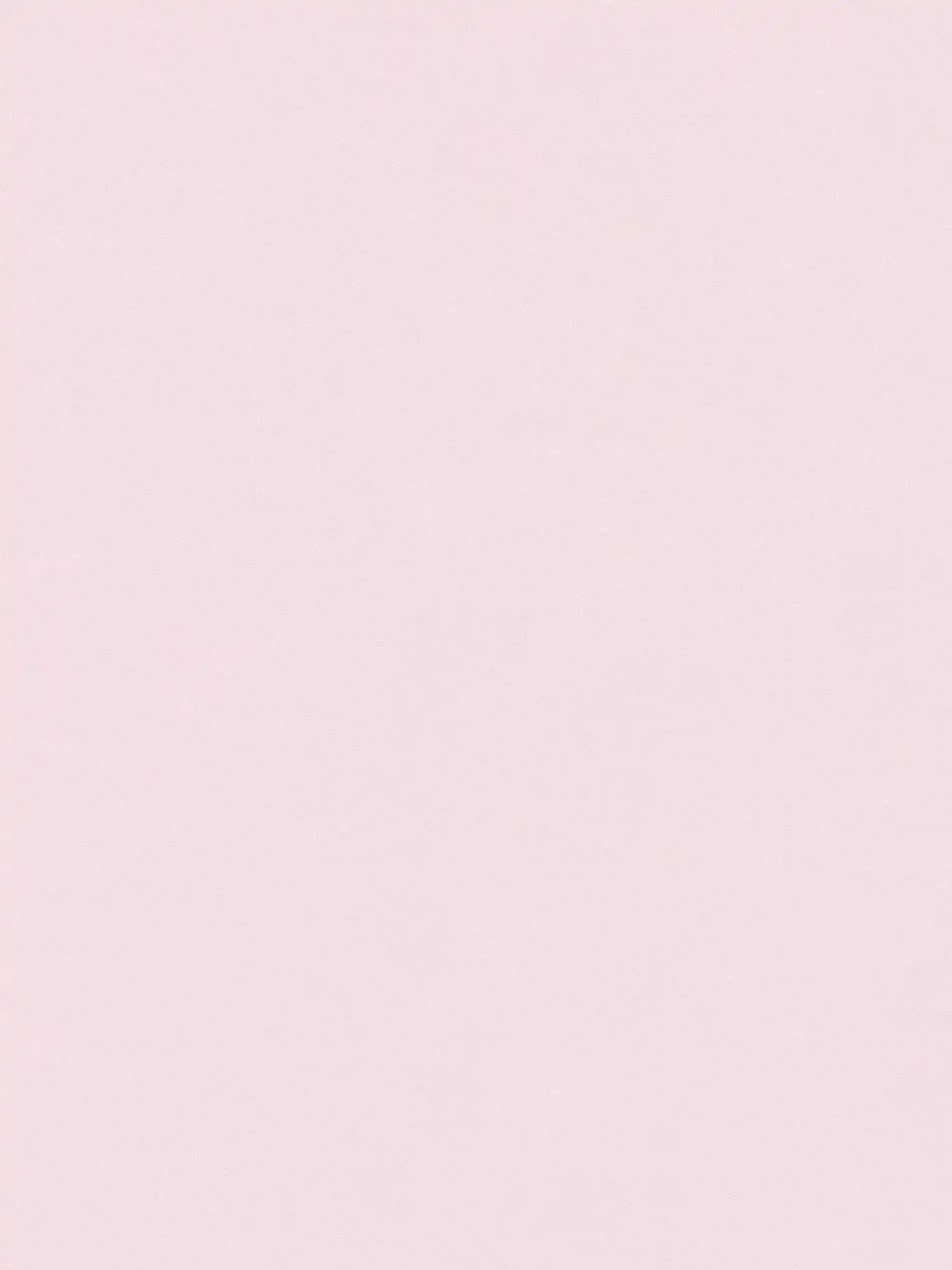 Papier peint rose tendre uni couleur blush mat - rose
