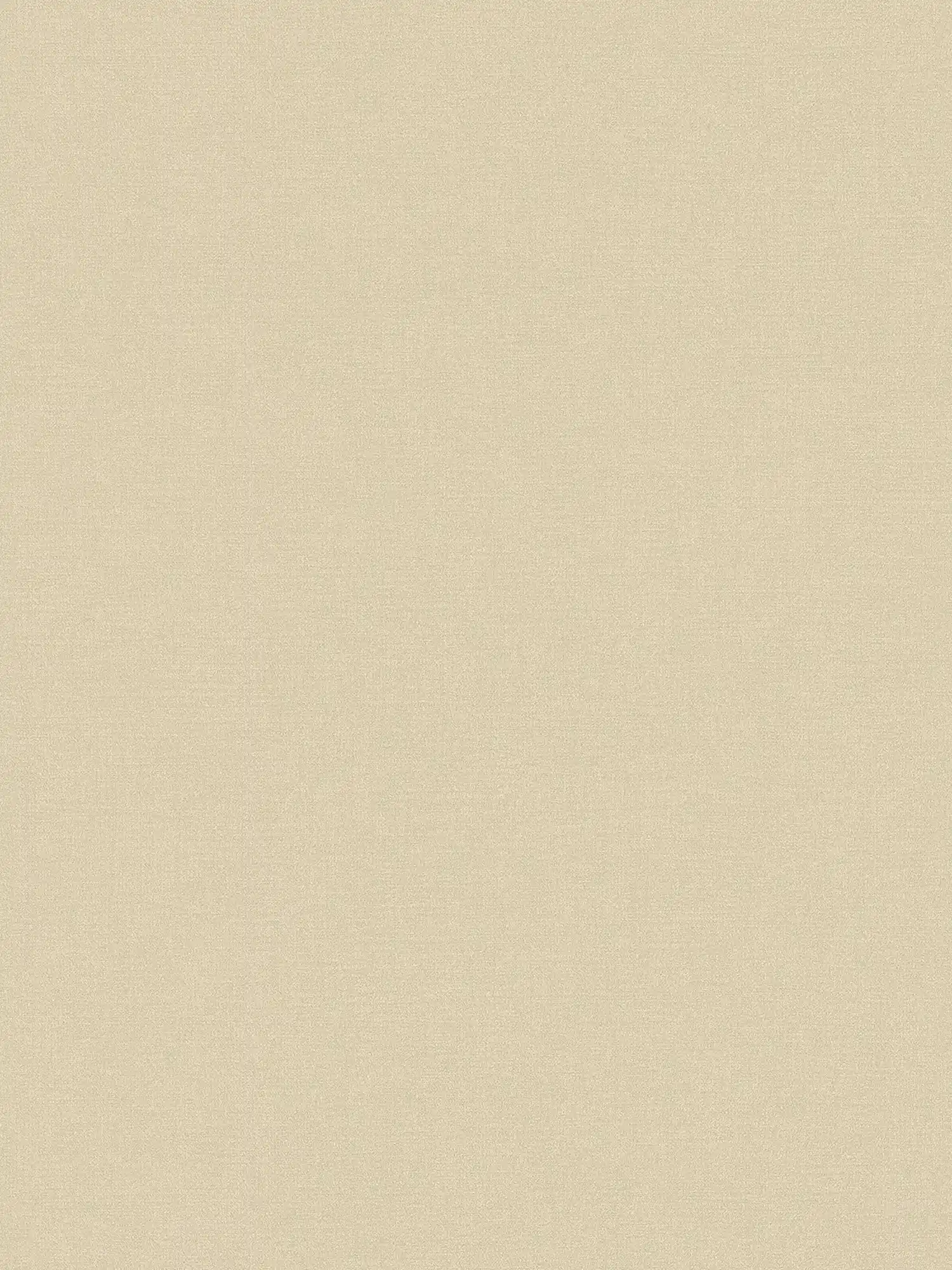 Lightly textured plain wallpaper in a warm shade - beige
