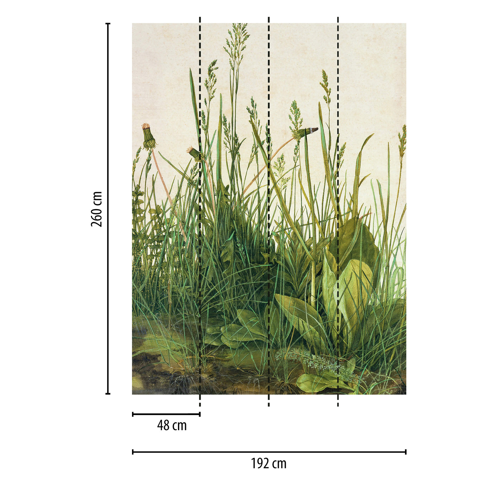             Papier peint panoramique étroit brins d'herbe & pissenlits
        