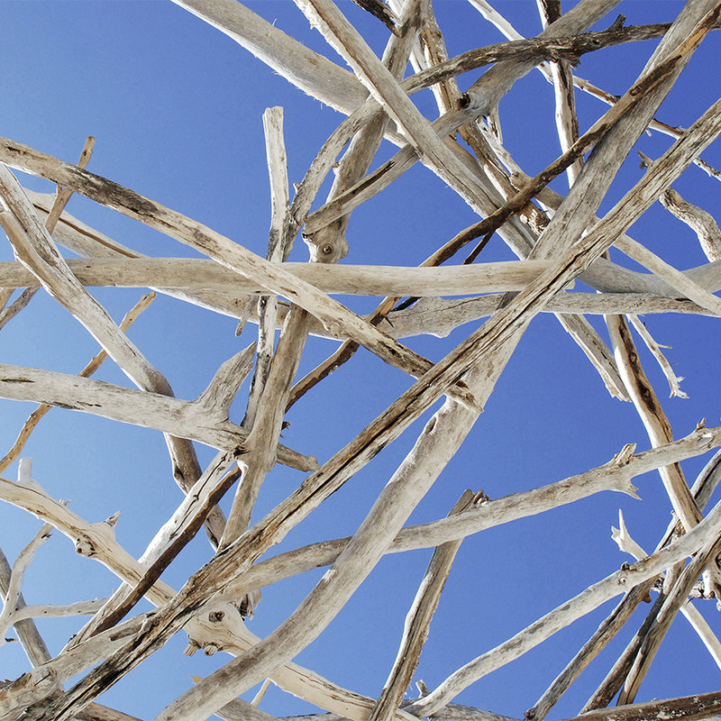 papiers peints à impression numérique Ciel avec des branches, Calming Ceiling - nacré intissé lisse
