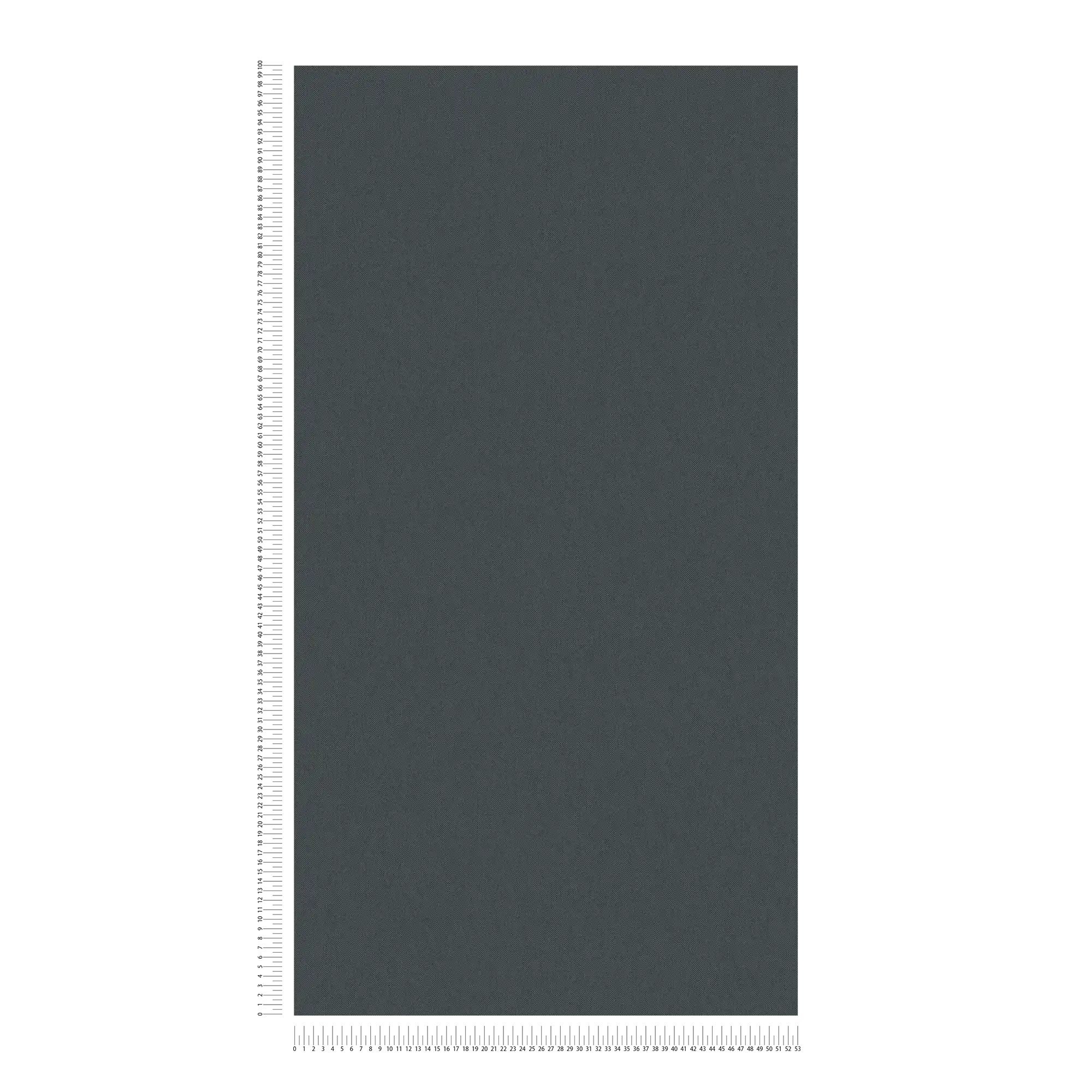            Carta da parati nera opaca con effetto lino e tessuto
        