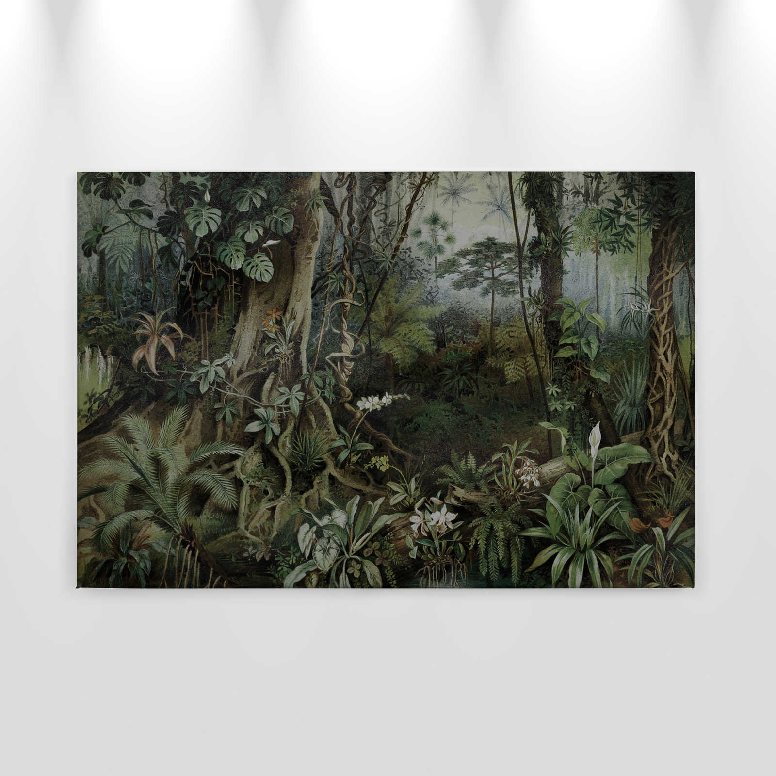             Jungle canvas schilderij in tekenstijl | muren door patel - 0,90 m x 0,60 m
        