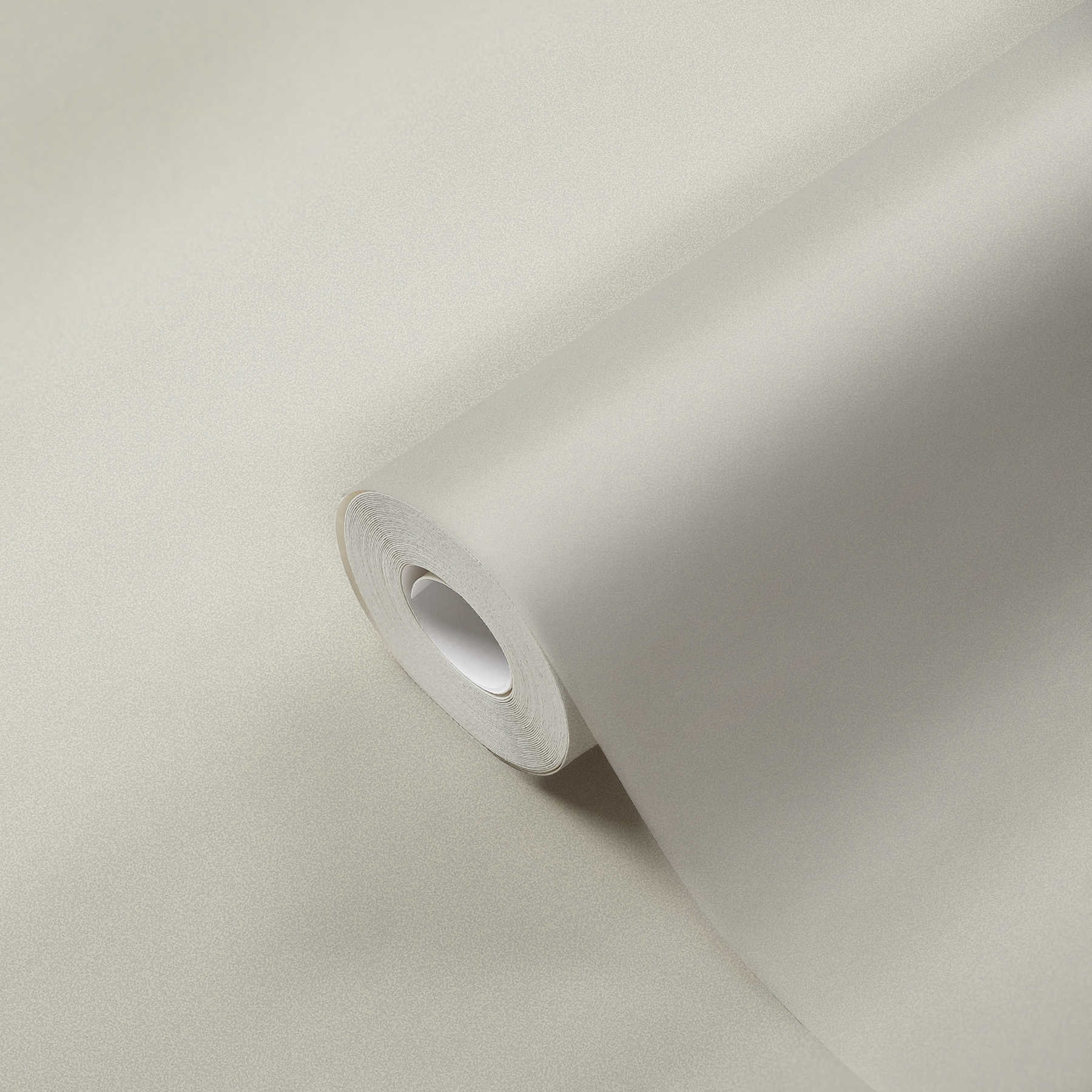             Plain non-woven wallpaper light grey from MICHALSKY
        