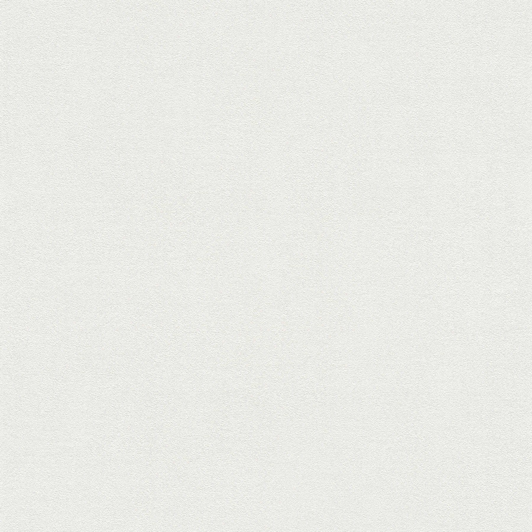 Non-woven wallpaper white monochrome matt with foam structure
