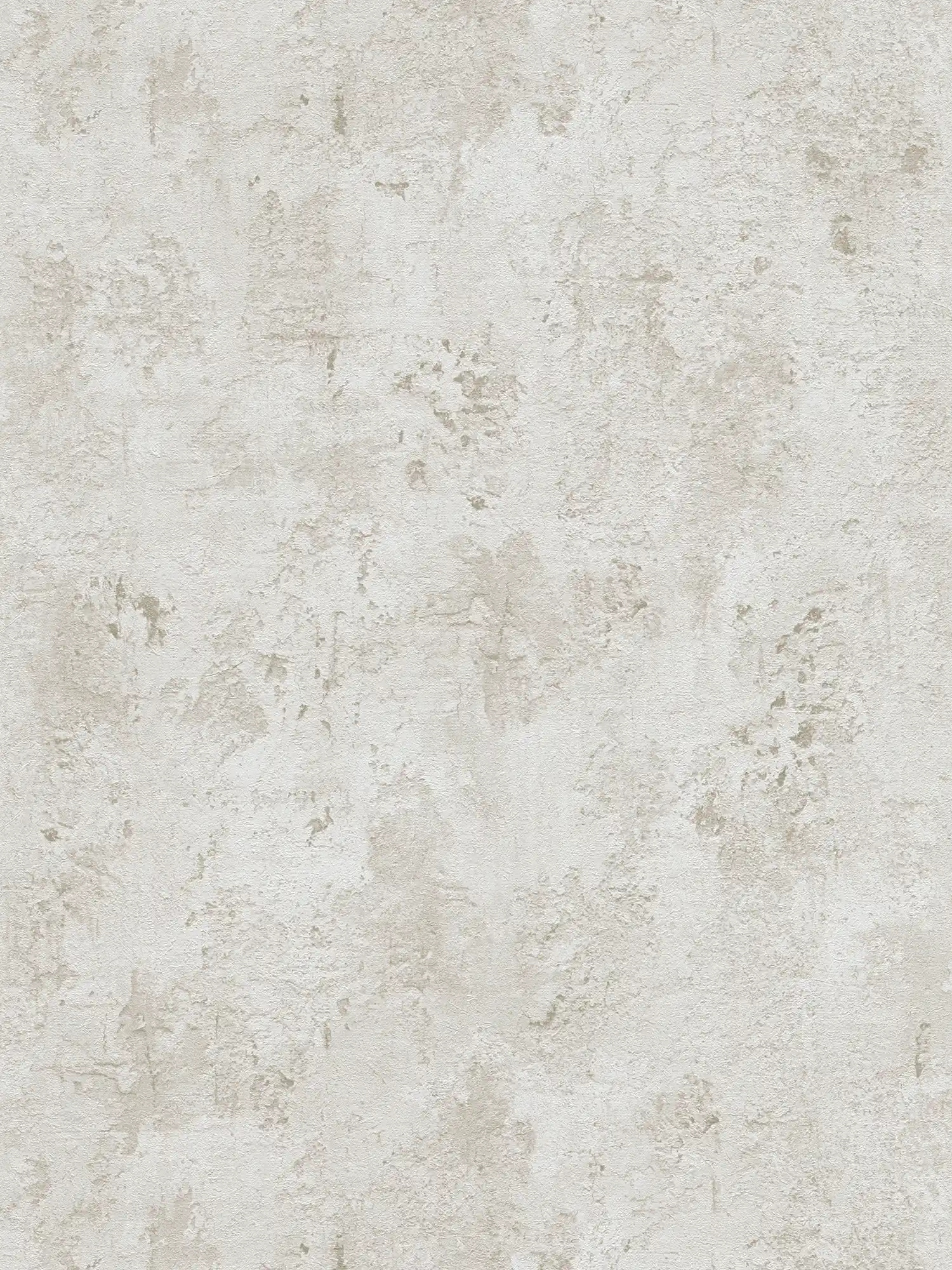 Plaster optics wallpaper with structural pattern - grey, beige
