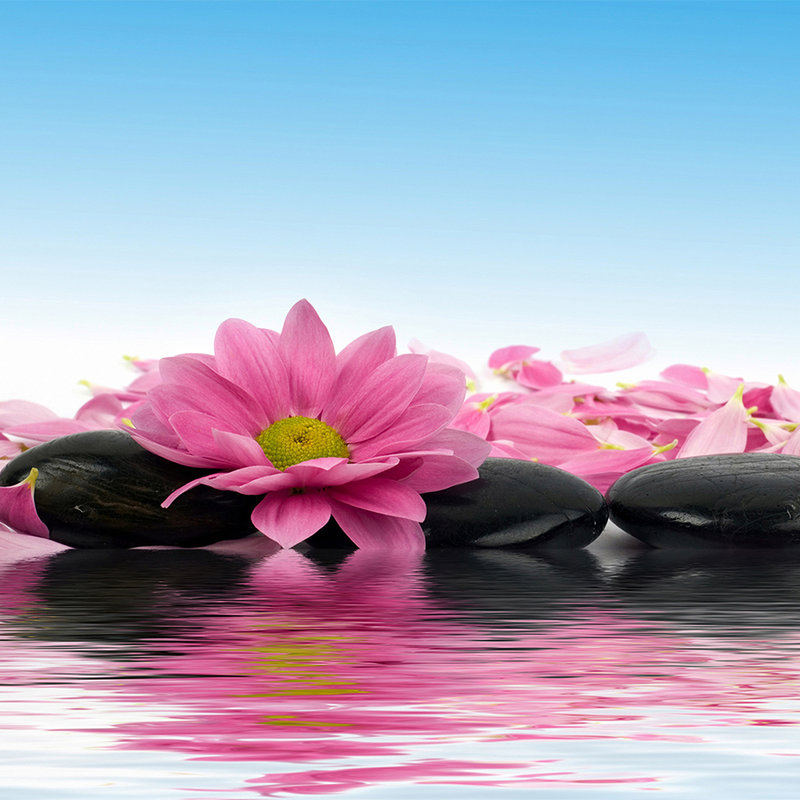 Water Lilies and Wellness Stones Wallpaper - Premium Smooth Non-woven
