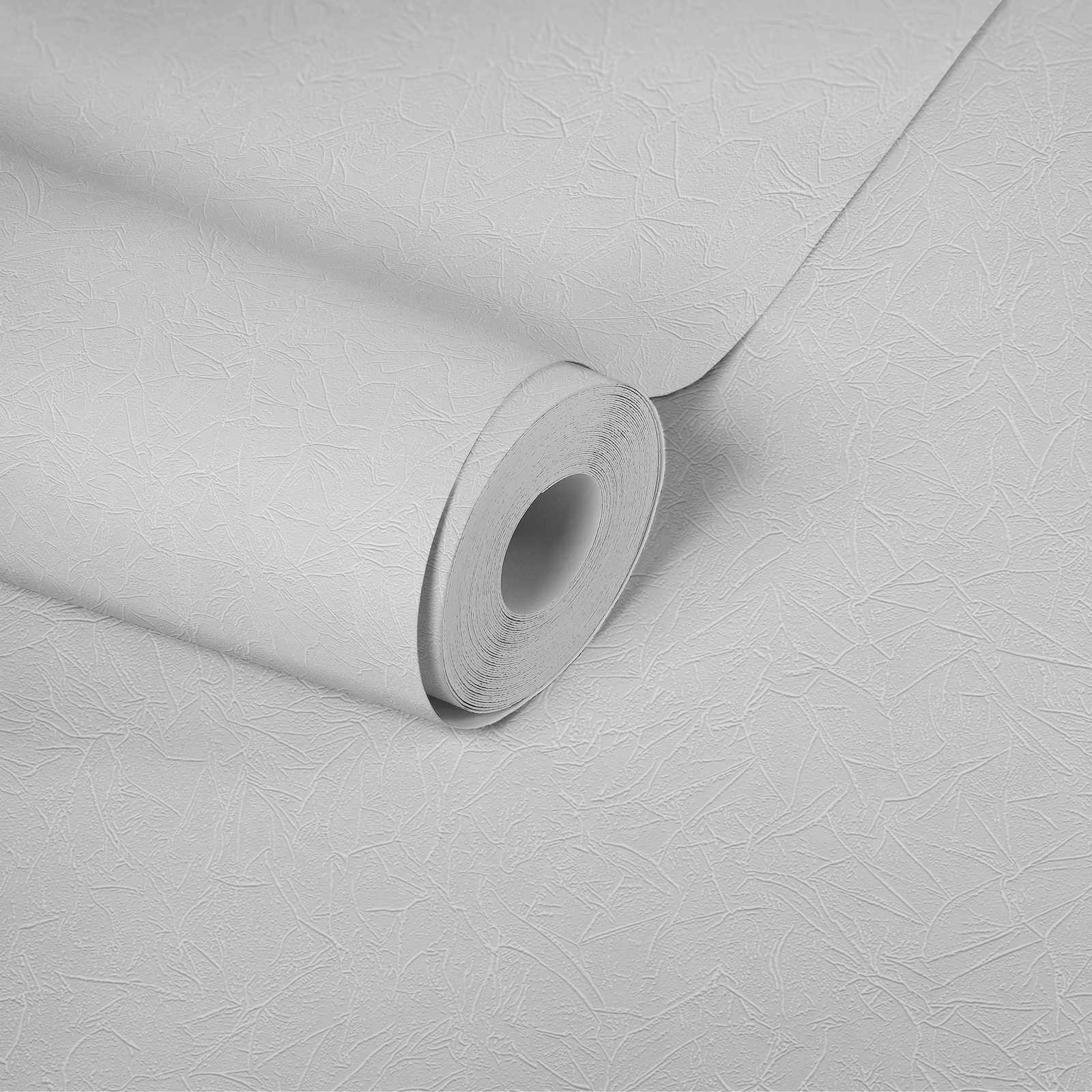            Non-woven wallpaper with paintable structure - 25.00 m x 1.06 m
        
