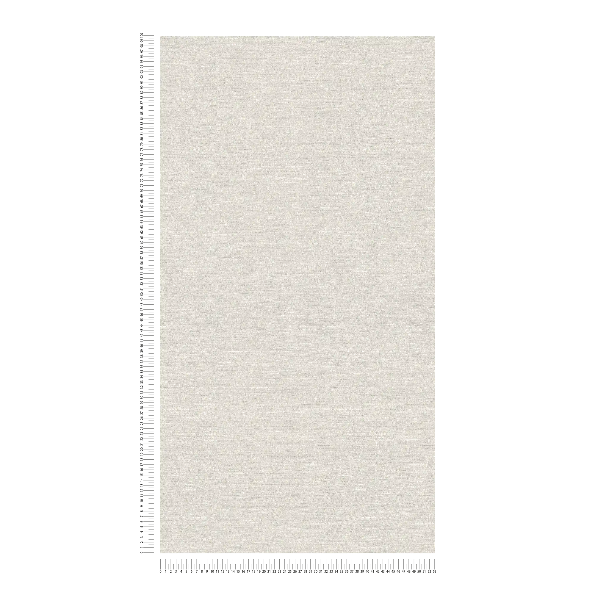             Papier peint gris clair uni & mat avec motifs structurés
        