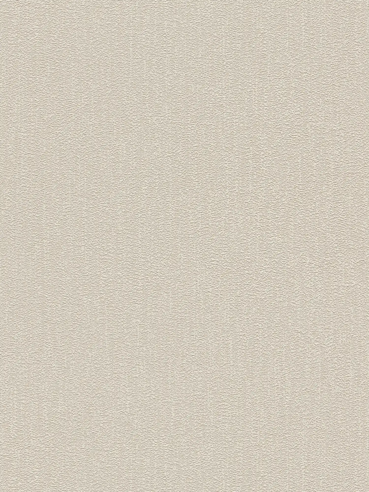 Papel pintado liso con estructura con un ligero brillo - beige, gris, plata
