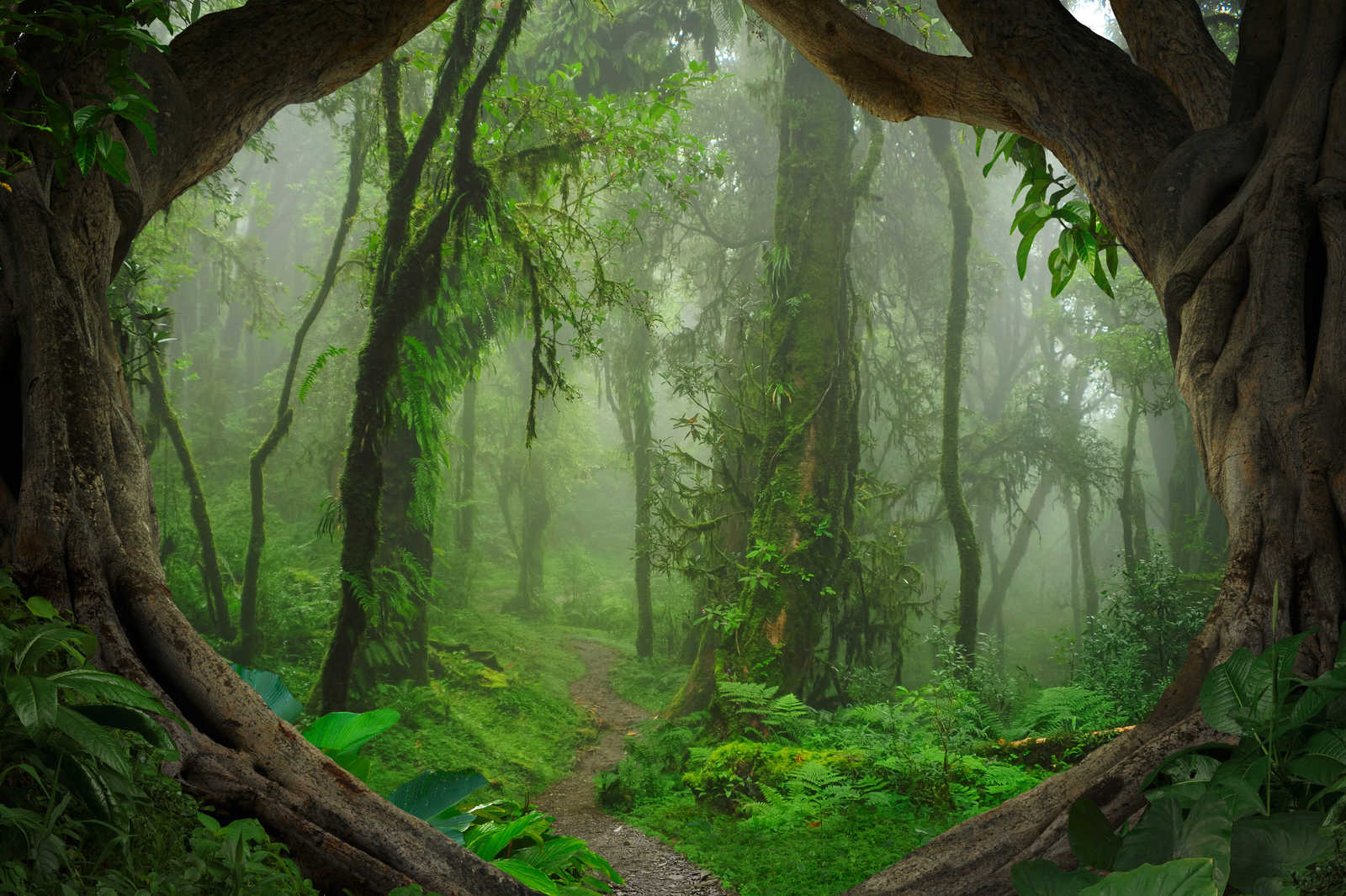             Toile magique forêt tropicale - 0,90 m x 0,60 m
        