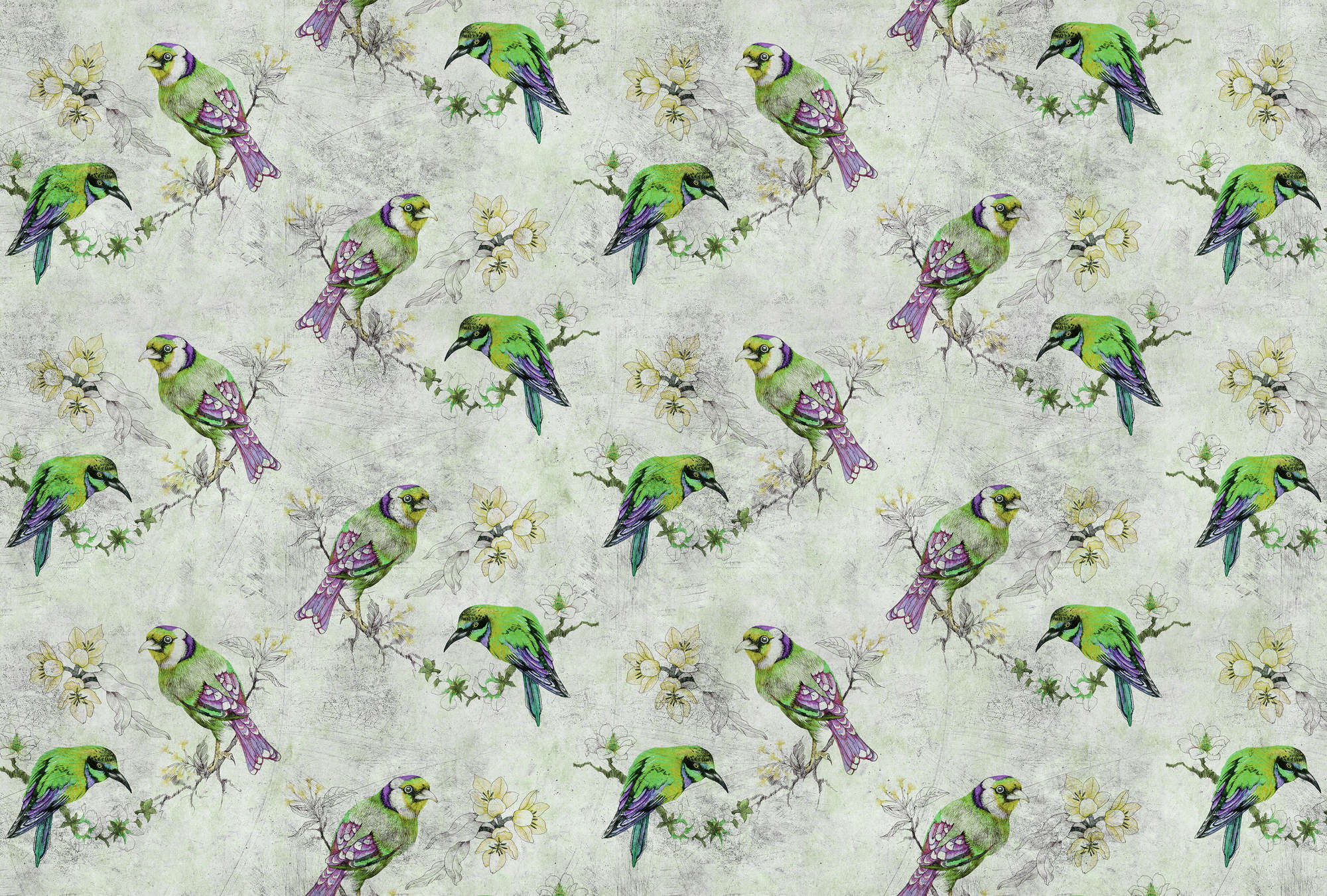             Love birds 2 - Carta da parati colorata con struttura graffiata e schizzi di uccelli - Grigio, Verde | Perla
        