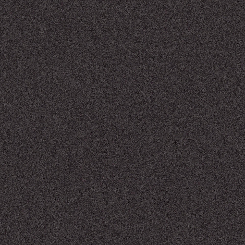            Papel pintado negro MICHALSKY con patrón de estructura forrada
        