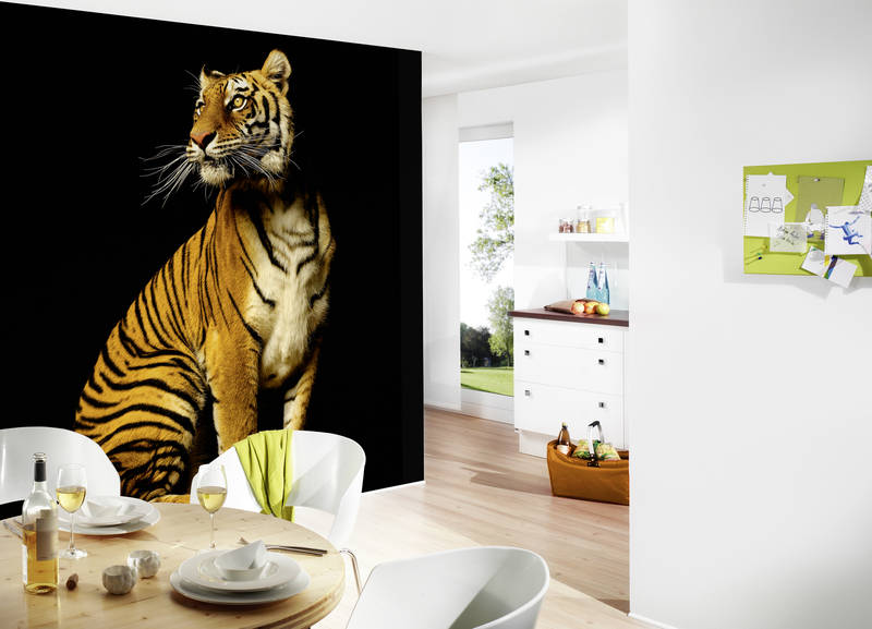             Tigre sentado - fondo de pantalla con retrato de animales
        