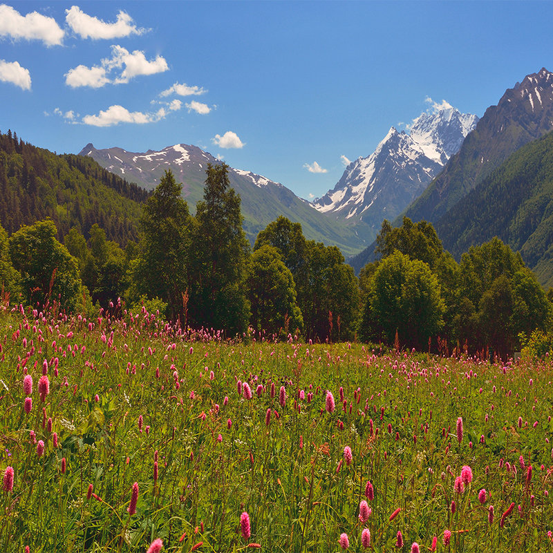 Nature Wallpaper Meadow and Mountain Landscape - Matt Smooth Non-woven
