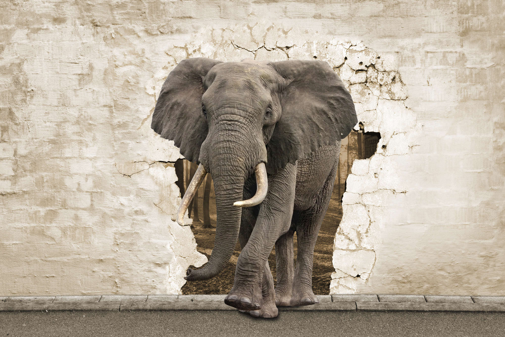             Mural de pared con motivo de animales Elefante en la pared sobre tejido no tejido liso mate
        