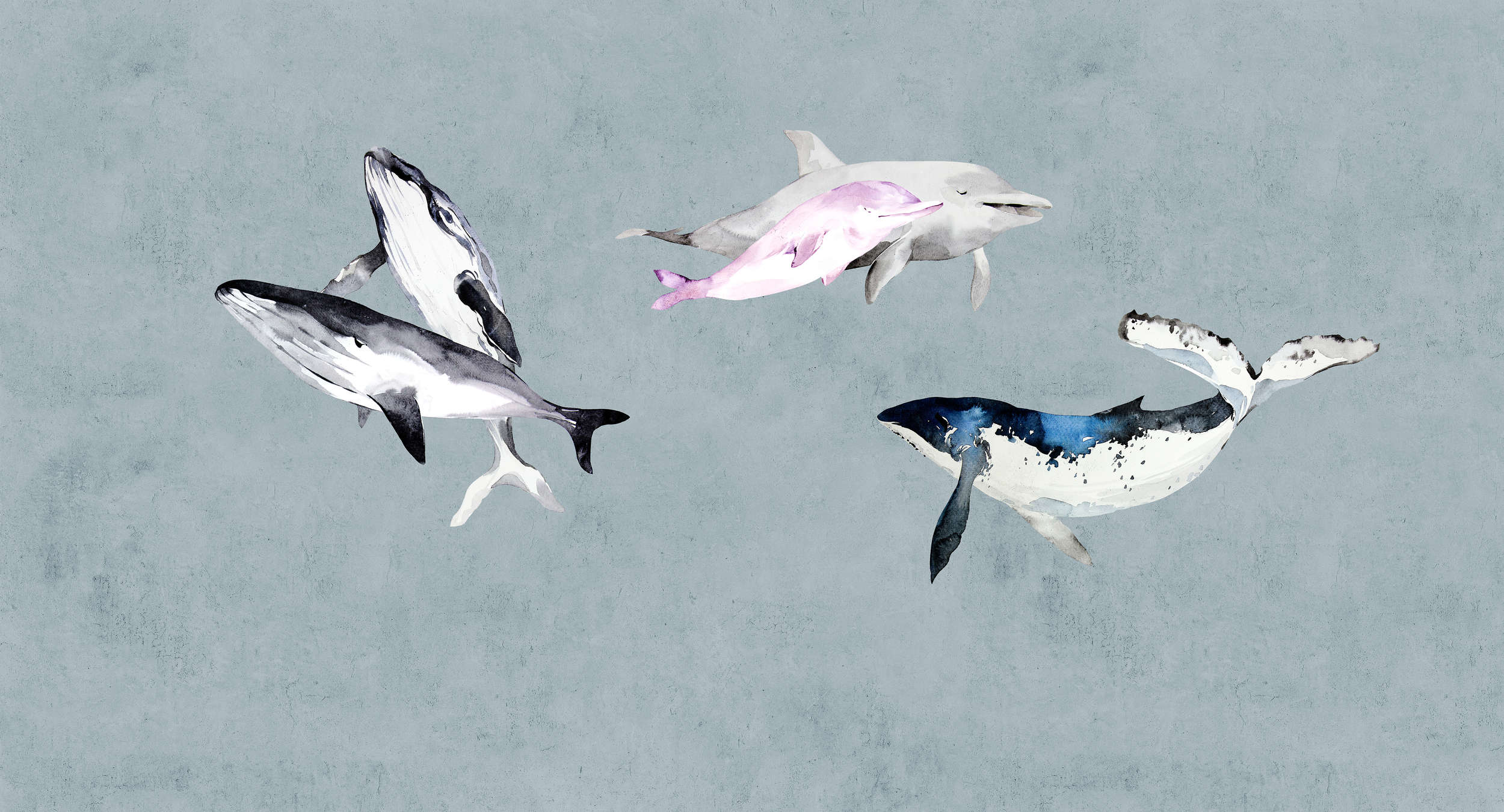             Oceans Five 1 - Watercolour style whales & dolphins mural
        