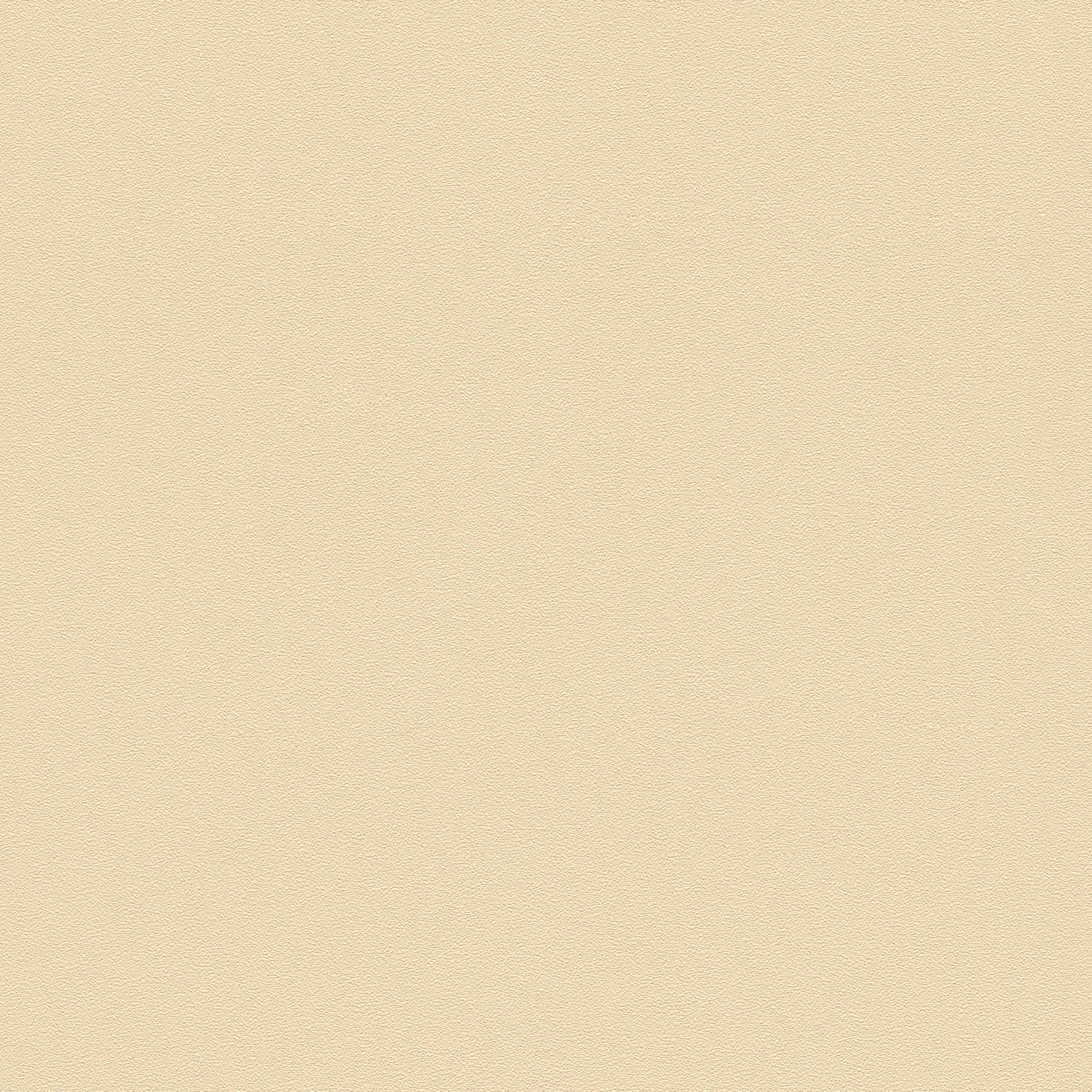 Papel pintado VERSACE liso, seda mate con diseño de estructura - beige
