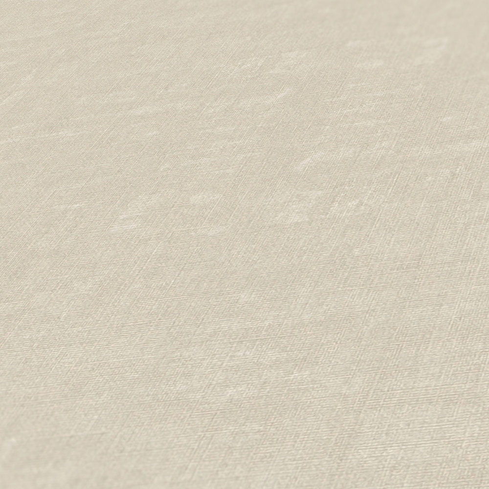             Carta da parati in tessuto non tessuto a tinta unita con effetto strutturato - grigio, beige
        