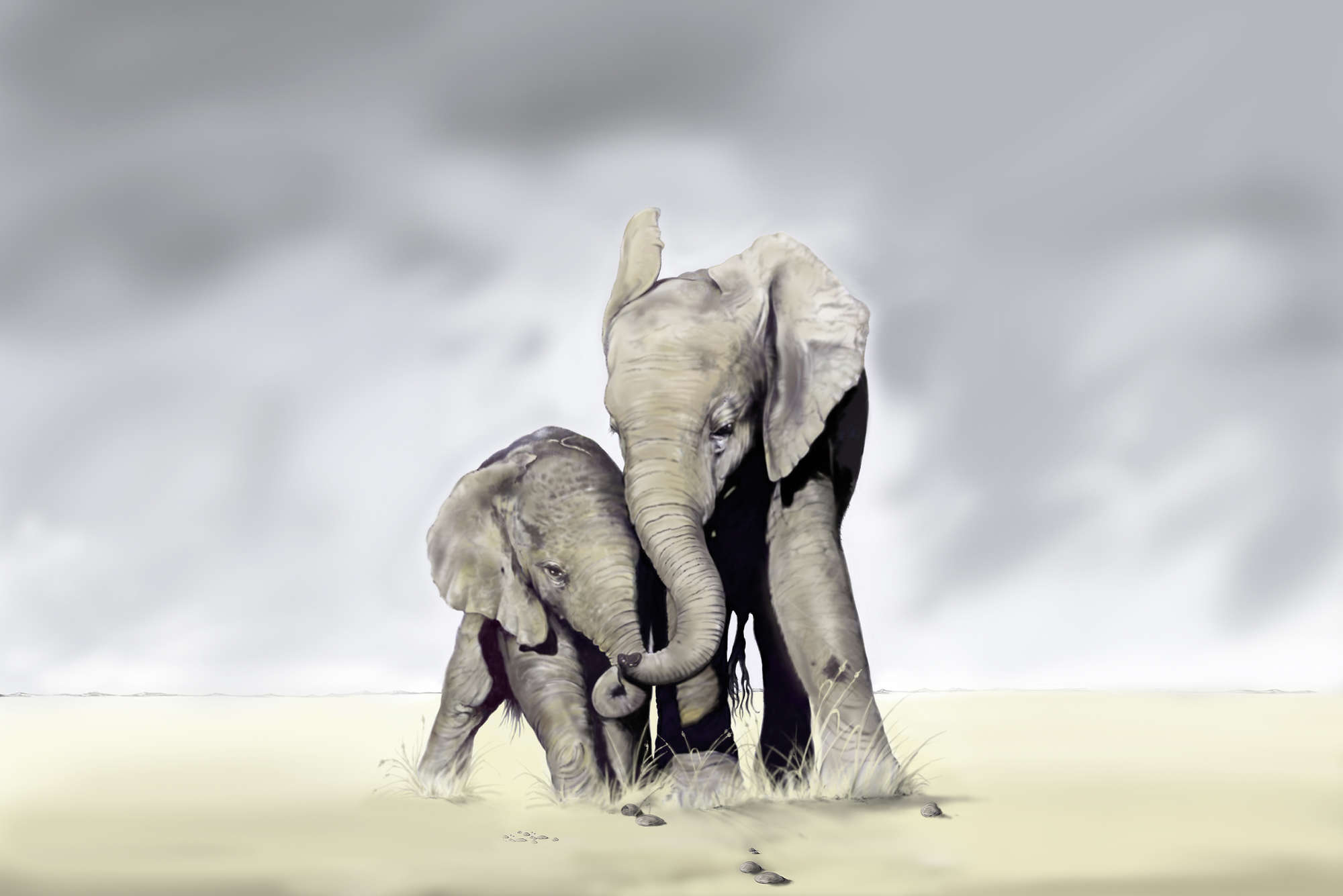            Animal Wallpaper Free Elephants - Matt Smooth Non-woven
        