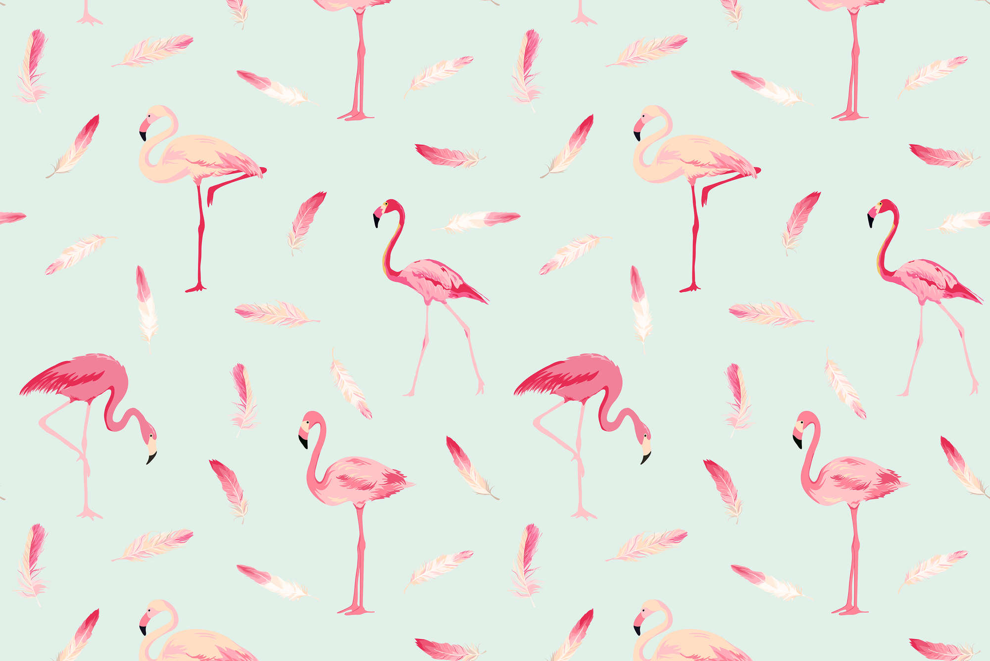             Grafisch behang Flamingo's en veren op mat glad vlies
        