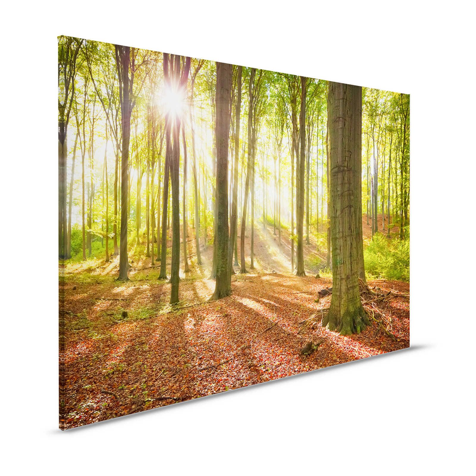 Quadro su tela Natura Foresta decidua con raggi di luce - 1,20 m x 0,80 m
