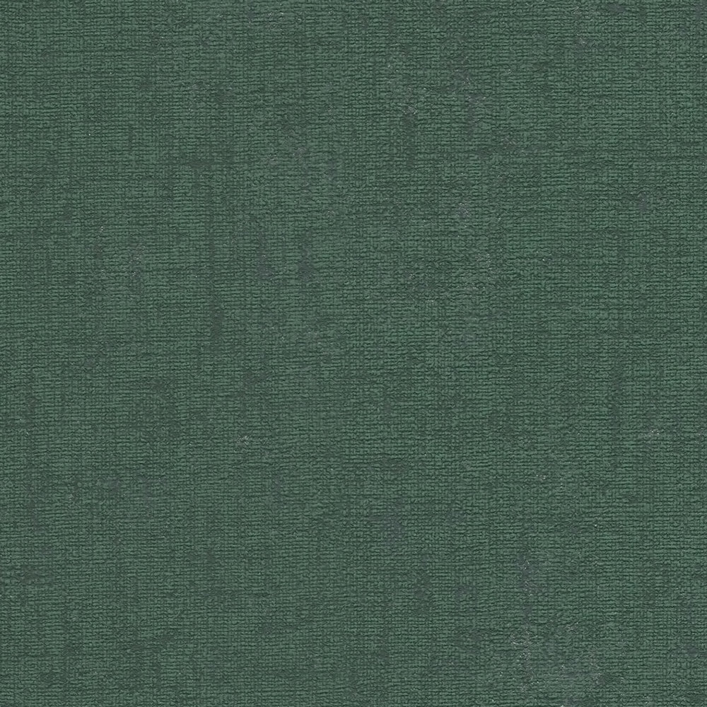             Single-coloured non-woven wallpaper with a light texture - green, dark green
        