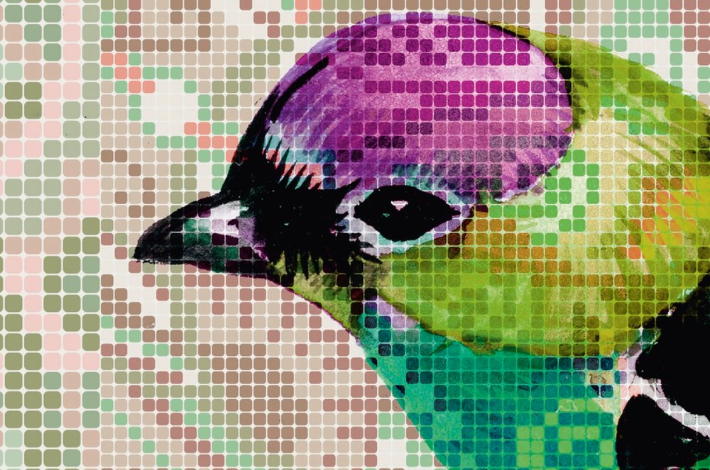             Papel pintado de pájaros con patrón de mosaico - Walls by Patel
        