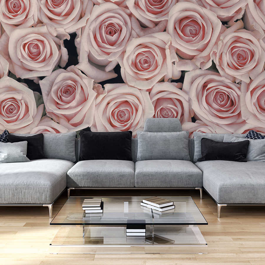 Papel pintado de plantas Rosas rosas y blancas sobre vellón liso perlado
