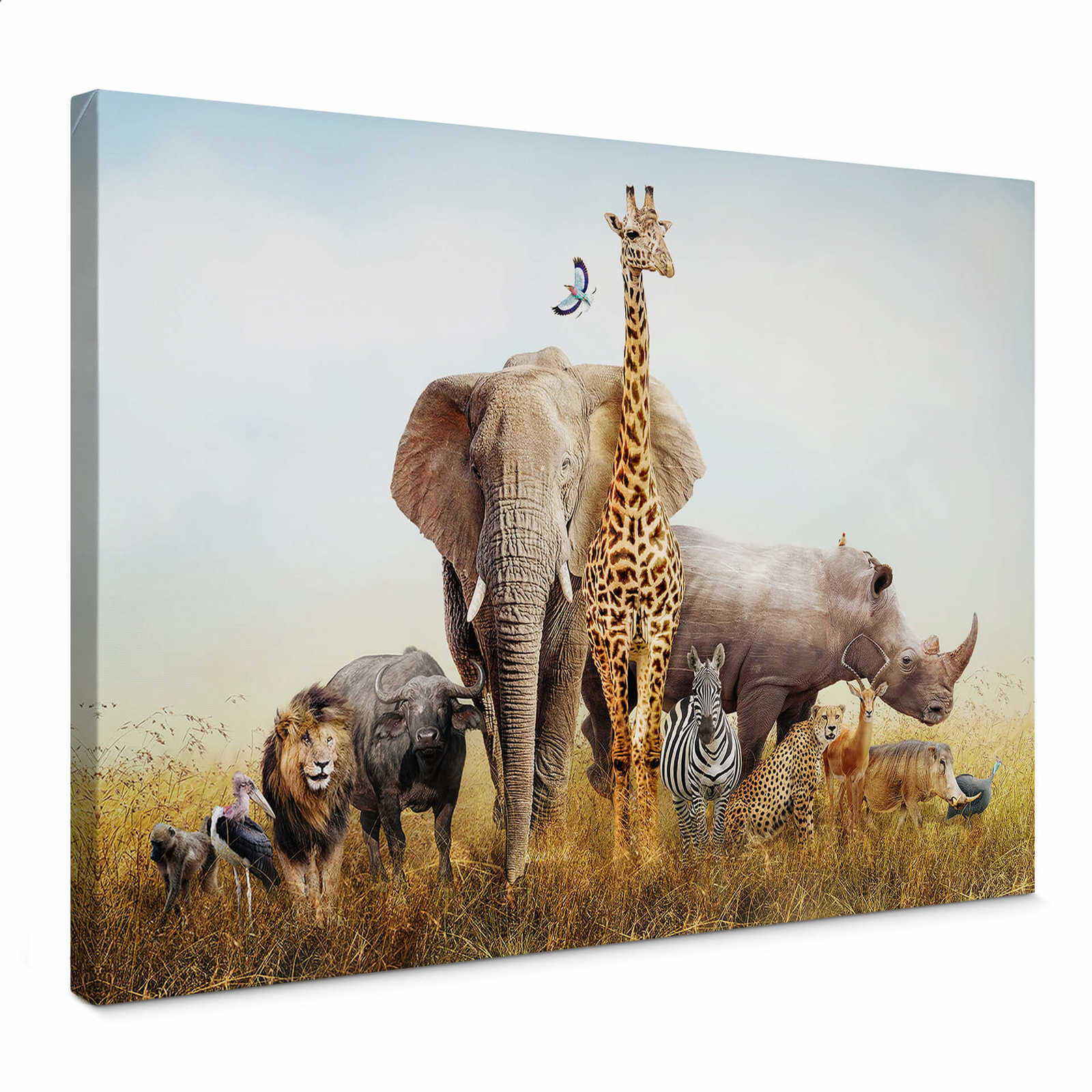 Canvas schilderij Afrikaanse dieren in de natuur - 0,70 m x 0,50 m
