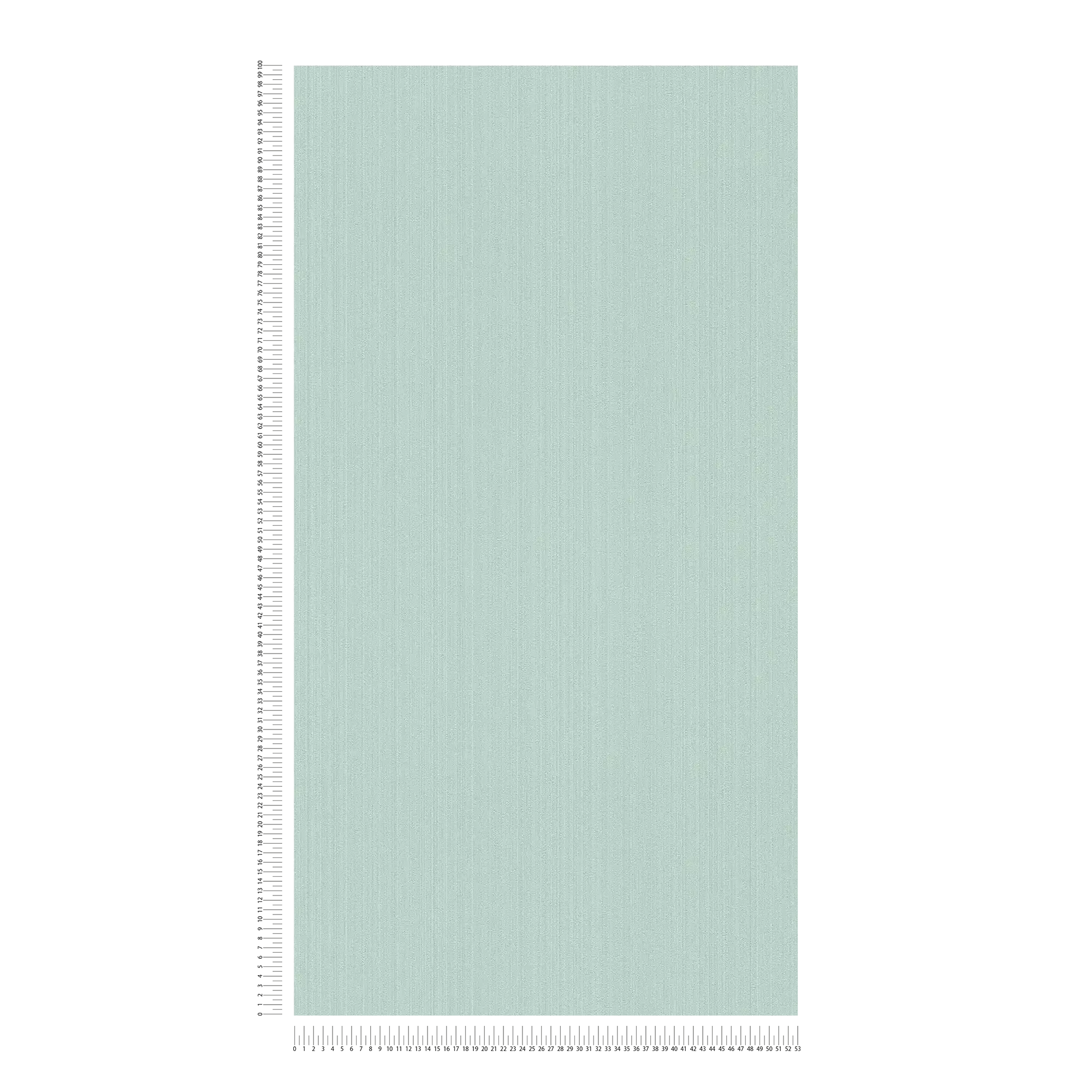             Carta da parati tinta unita verde menta, seta opaca con motivo a struttura
        