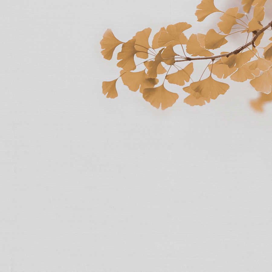 Ginkgo Branch Afterimage Wallpaper - Yellow, White
