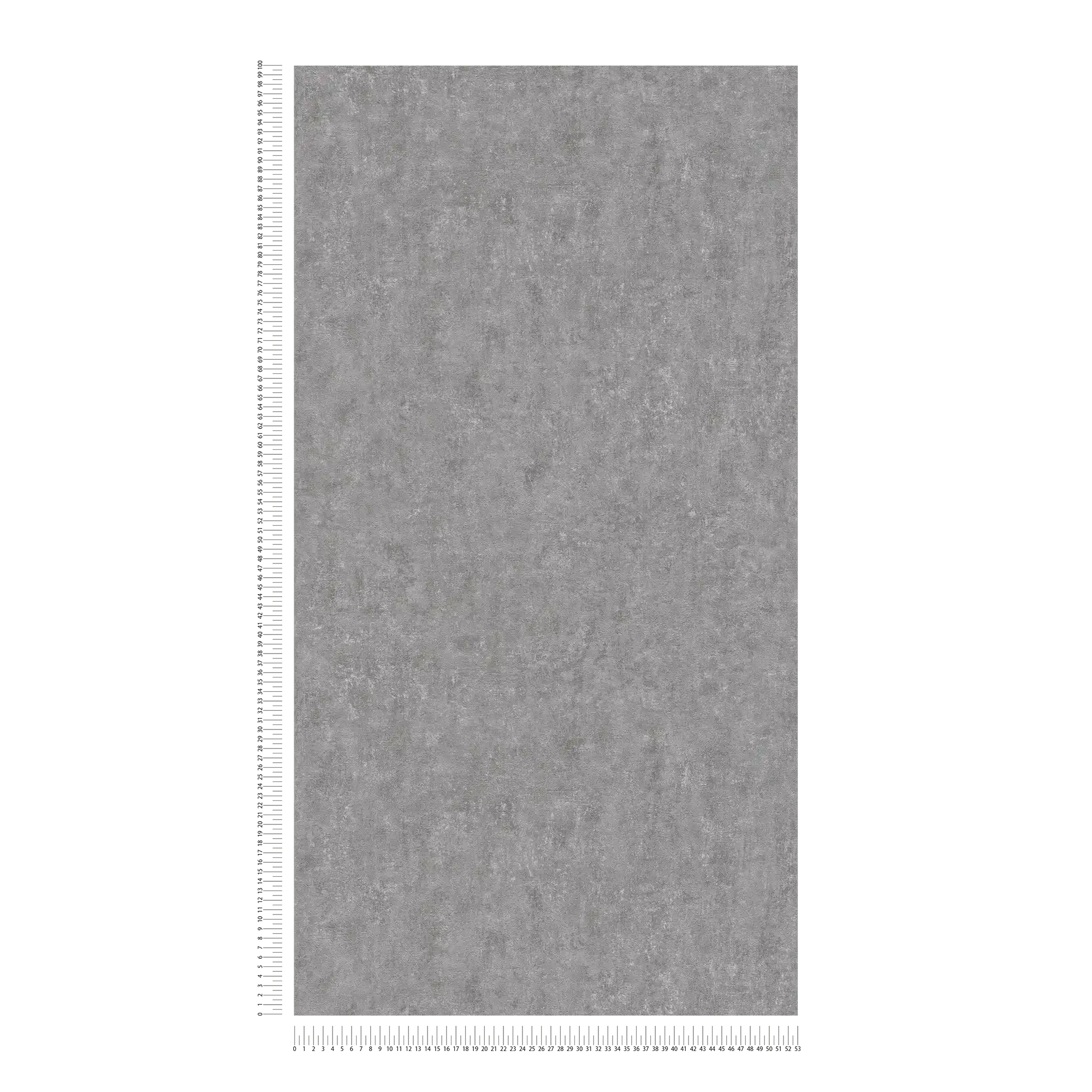             Non-woven wallpaper concrete structure grey mottled
        