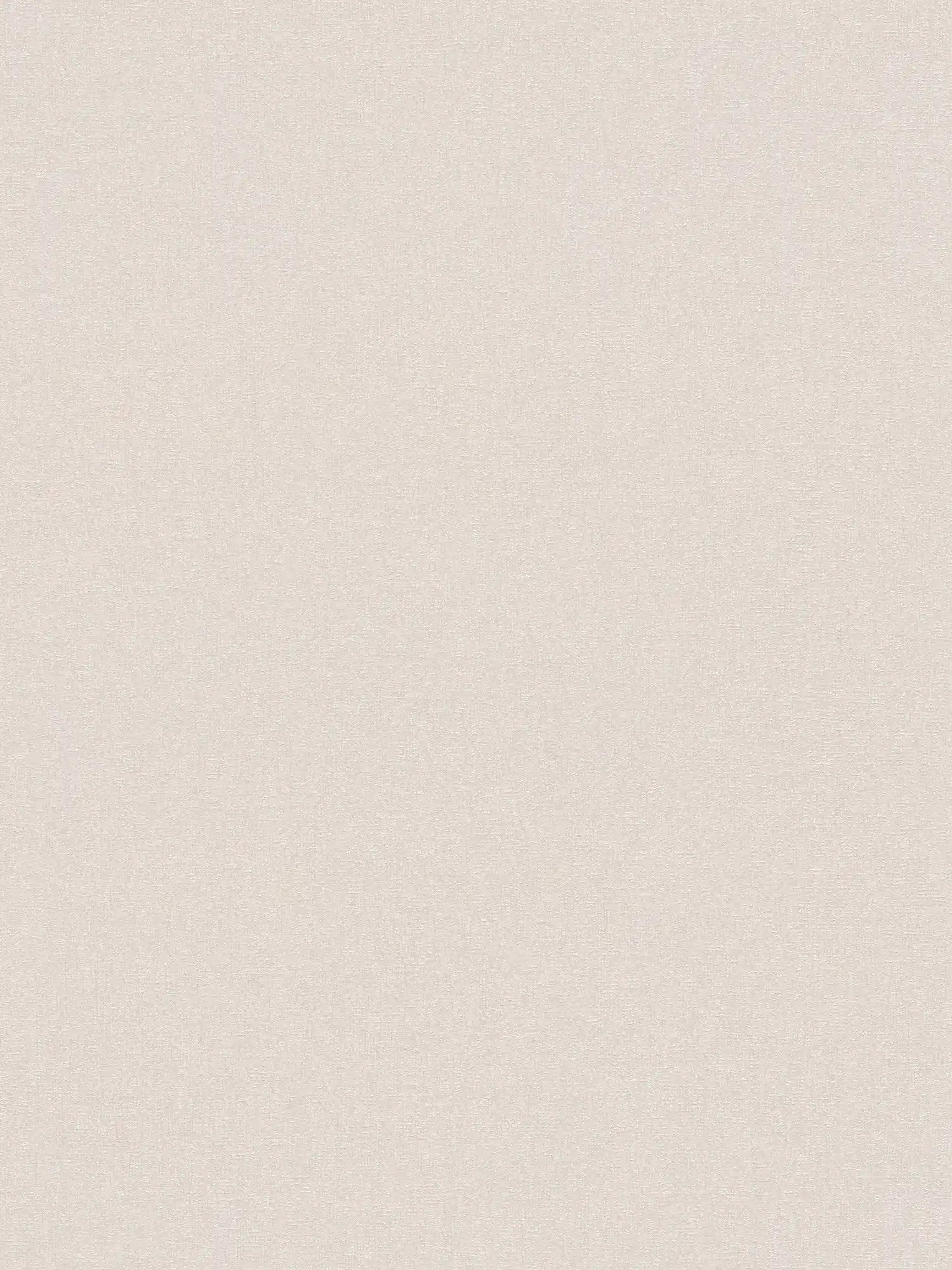 Non-woven wallpaper plains with fine structure - beige, brown
