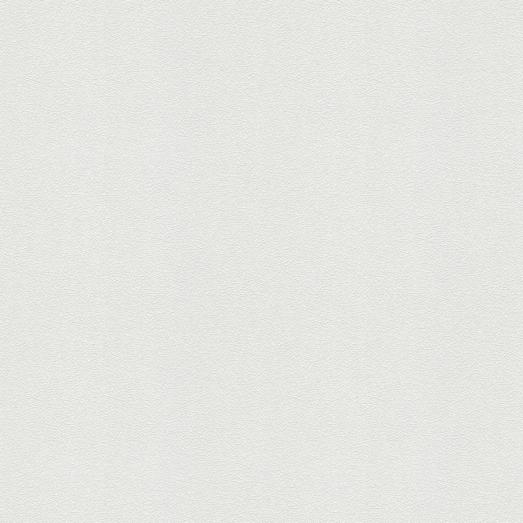 Papier peint blanc structuré avec motif de fibres et aspect tissé - Blanc
