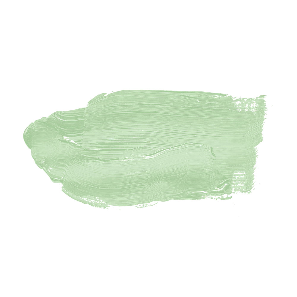             Pittura murale TCK4007 »Woodruff Cream« in verde pastello sereno – 2,5 litri
        