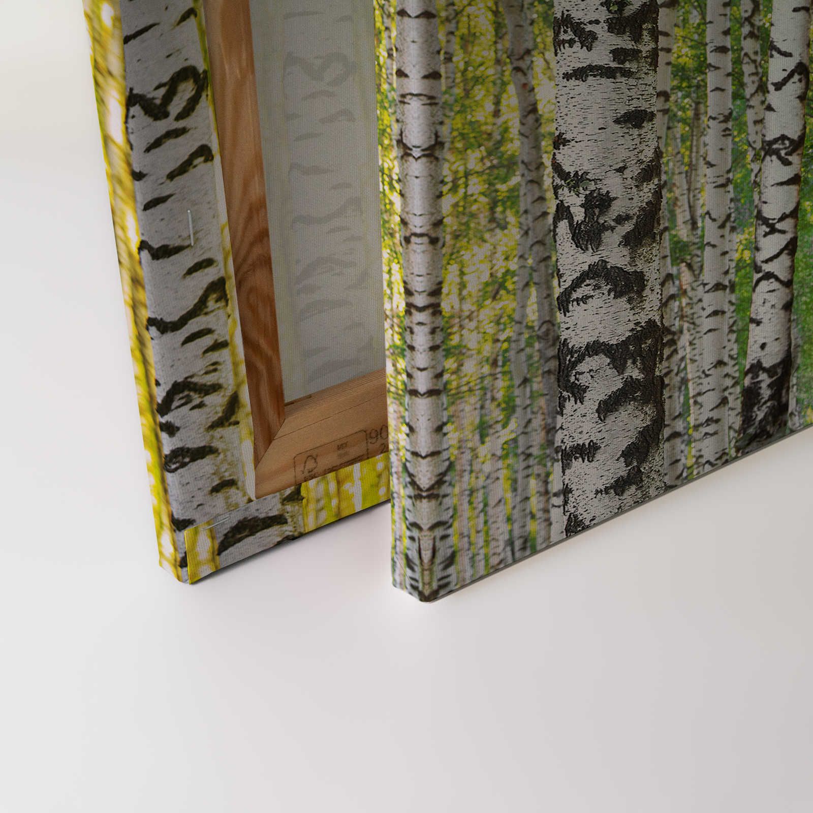             Forêt de bouleaux toile motif tronc d'arbre - 0,90 m x 0,60 m
        