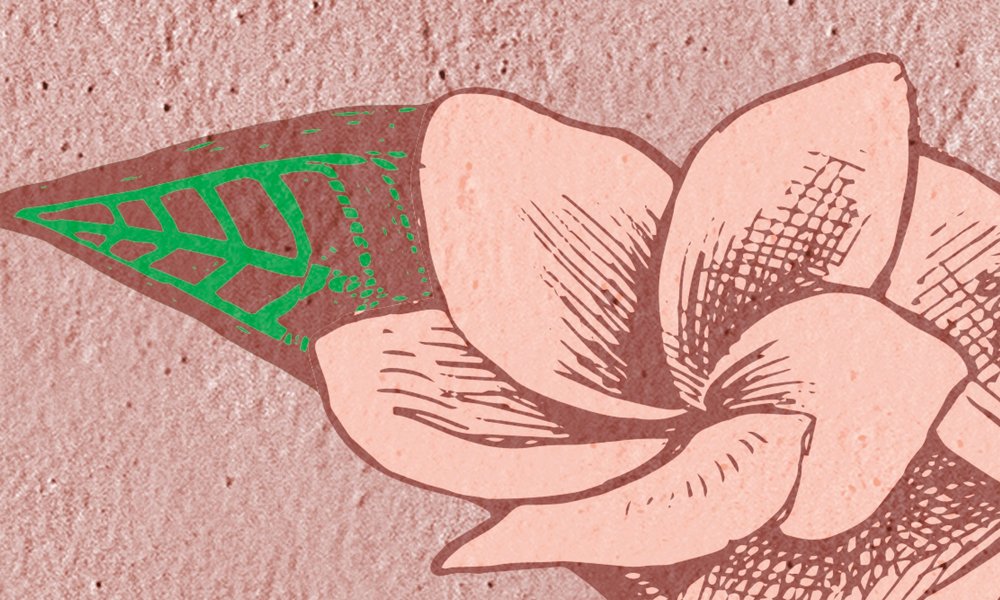             Papier peint Esquisse Flamant rose et feuilles - rose, vert
        