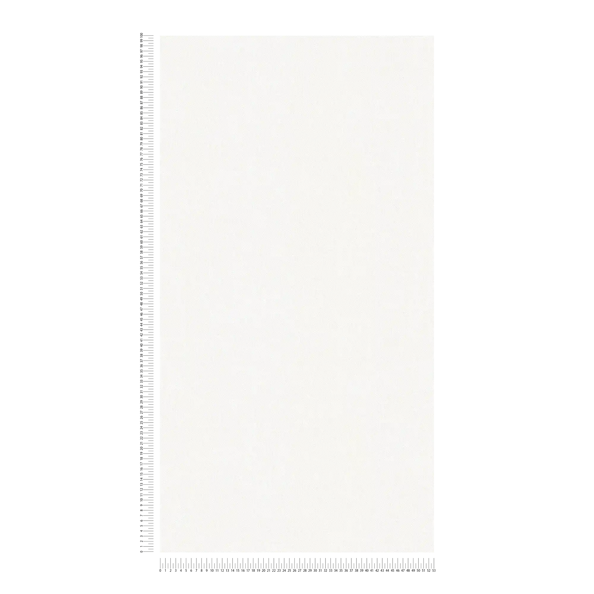             Papier peint uni clair, mat, blanc avec structure en lin
        