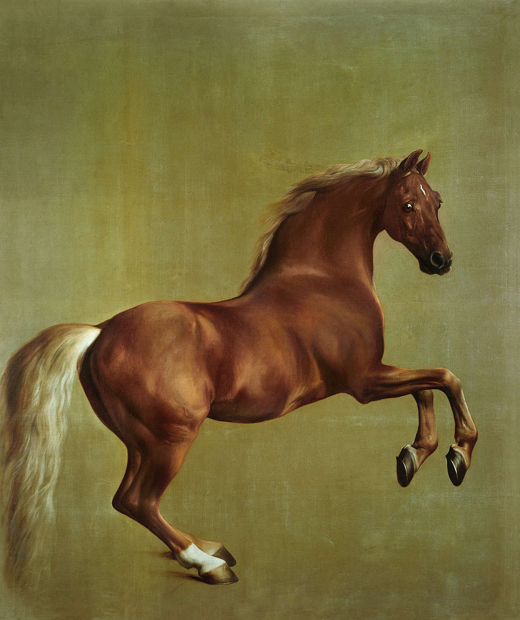             Photo wallpaper "Whistlejacket" by George Stubbs
        